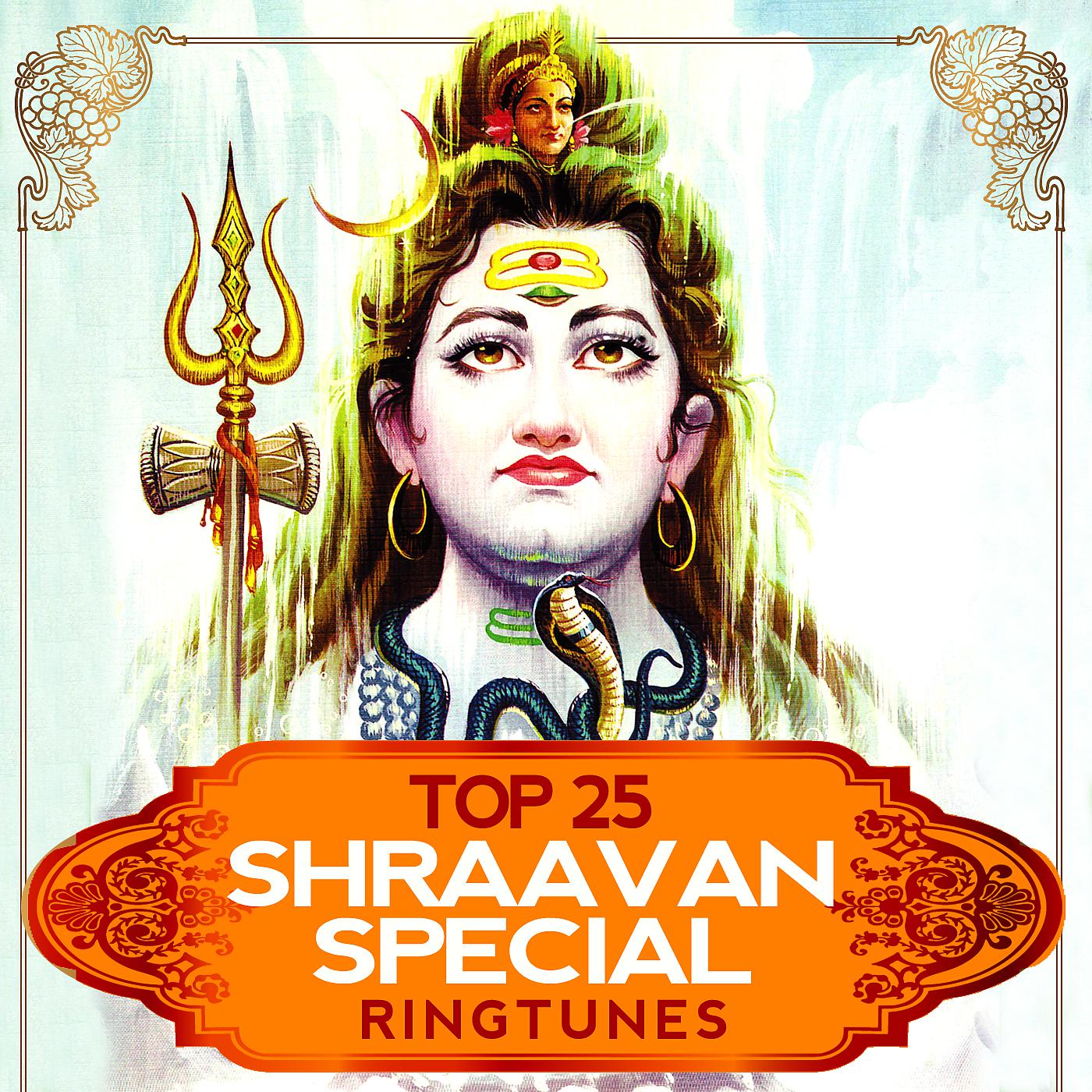 Постер альбома Top 25 Shraavan Special Ringtunes