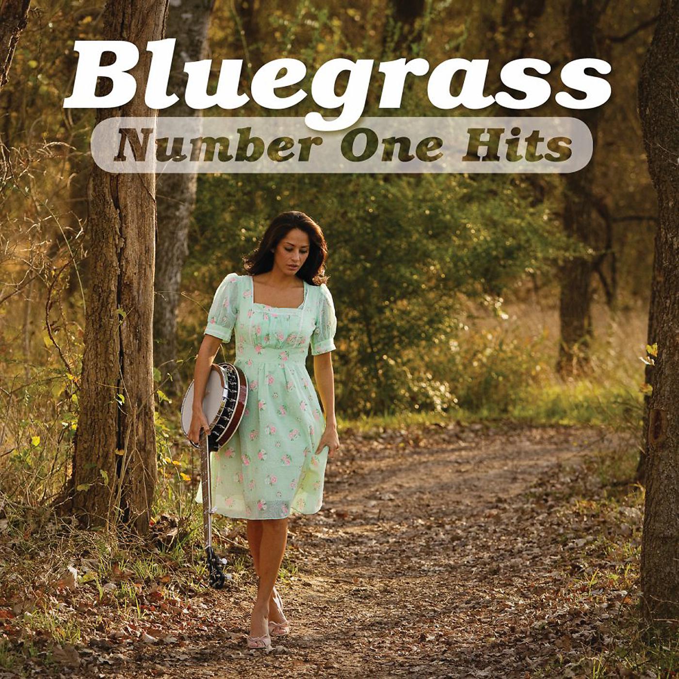 Постер альбома Bluegrass Number One Hits