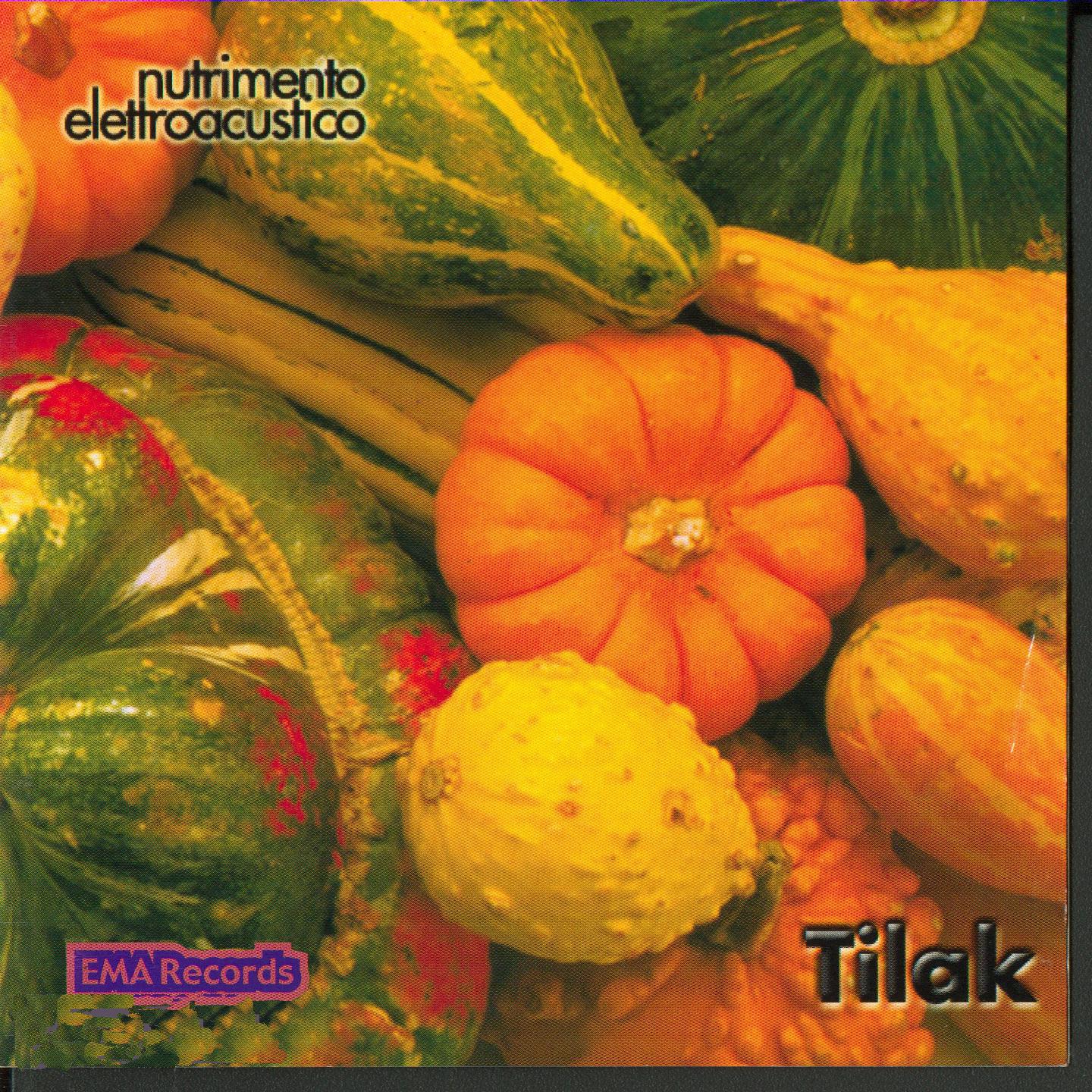 Постер альбома Nutrimento elettroacustico