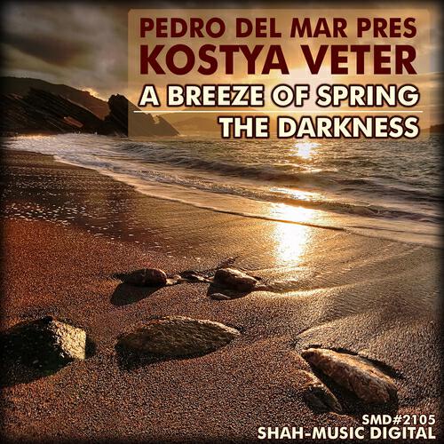 Pedro Del Mar - The Darkness (Original Mix)