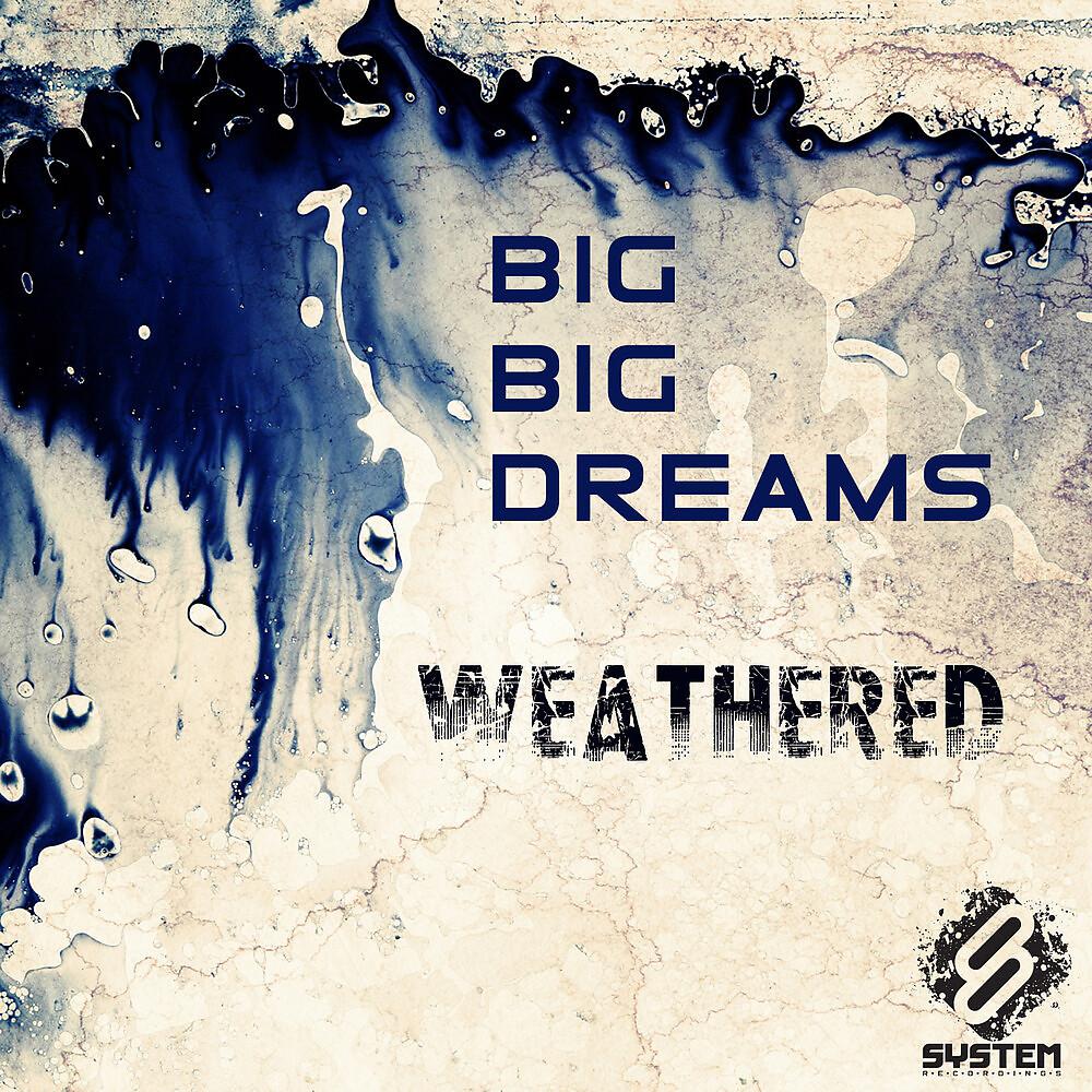 Постер альбома Weathered (feat. Aoka)