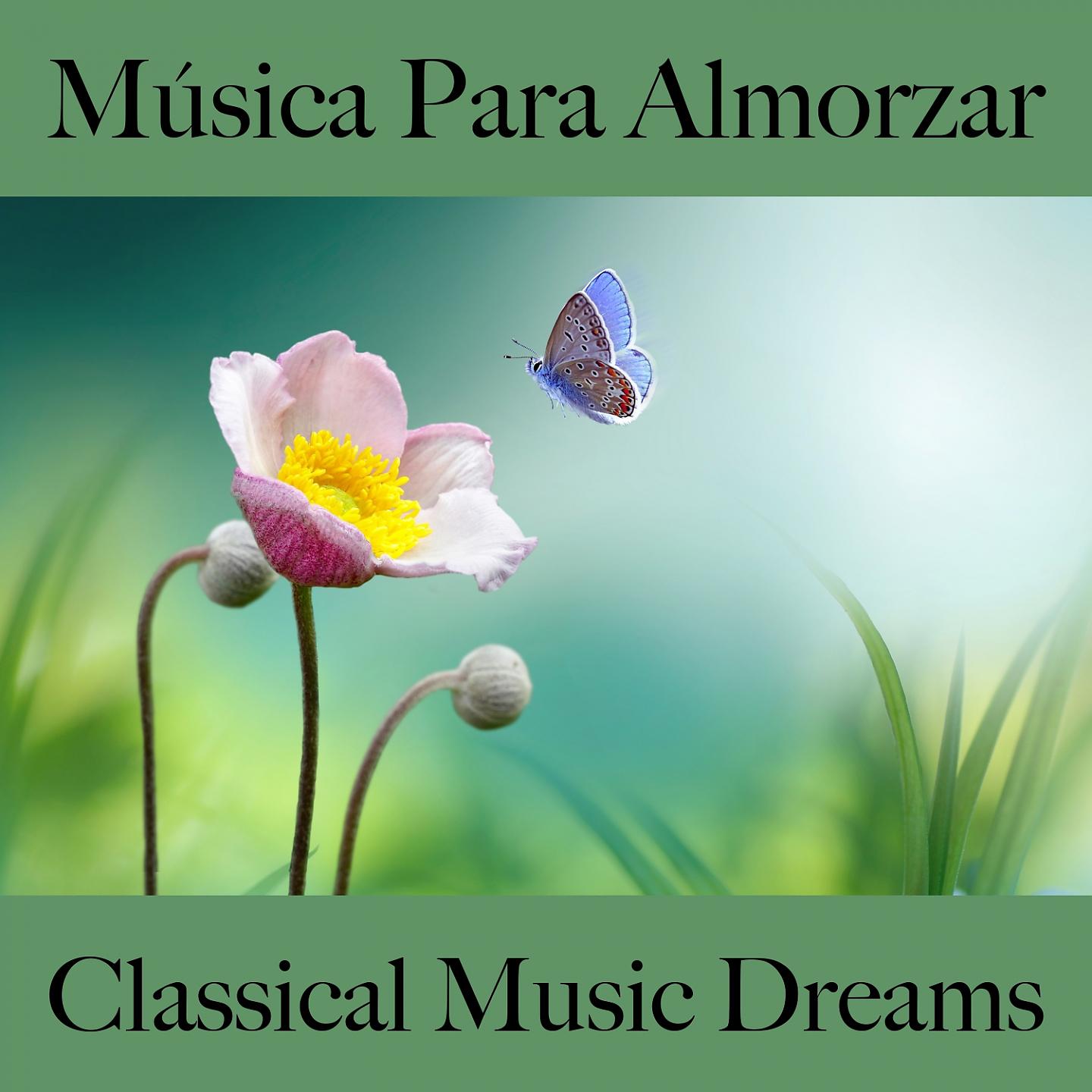 Постер альбома Música Para Almorzar: Classical Music Dreams - Los Mejores Sonidos Para Descancarse