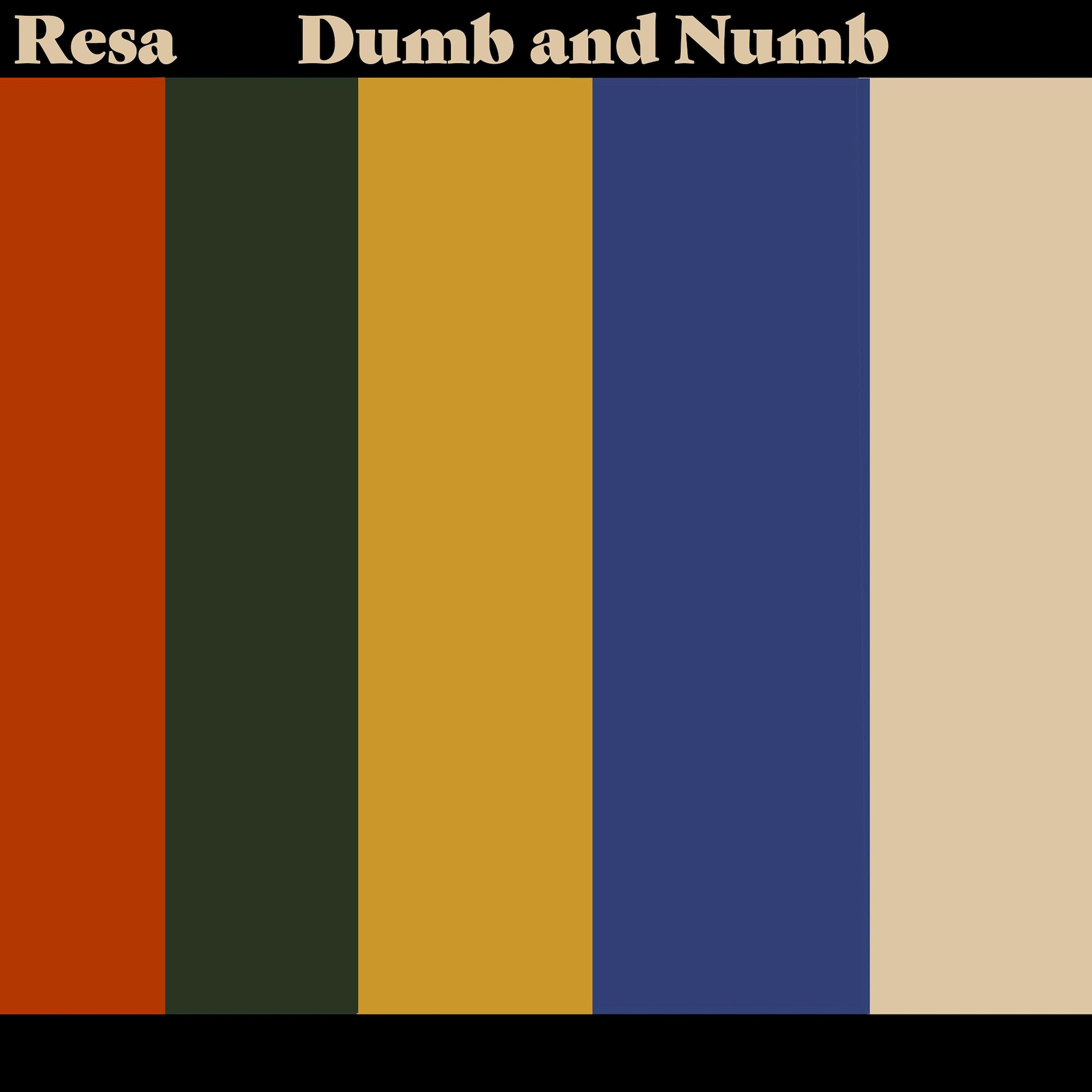 Постер альбома Dumb and Numb