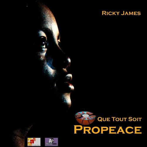 Ricky-James - La tectonique des blacks