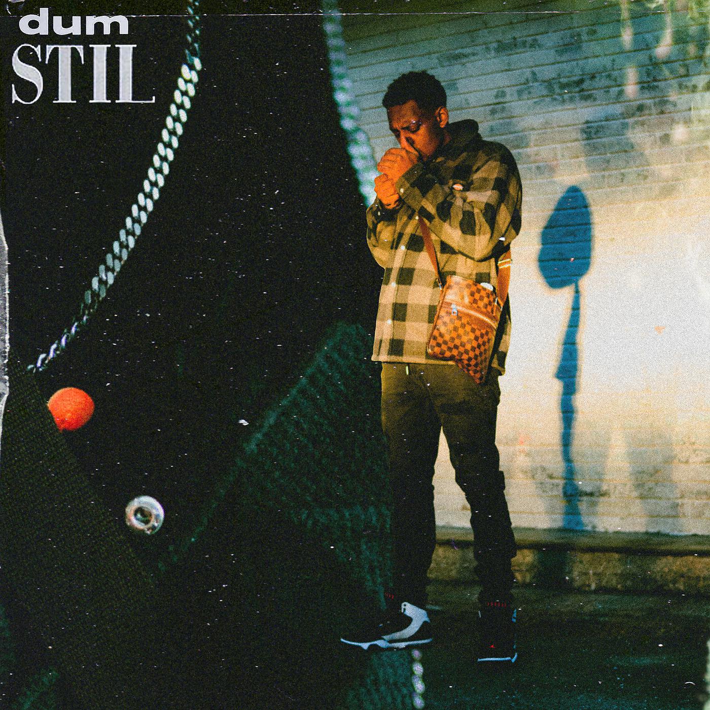 Постер альбома Dum Stil