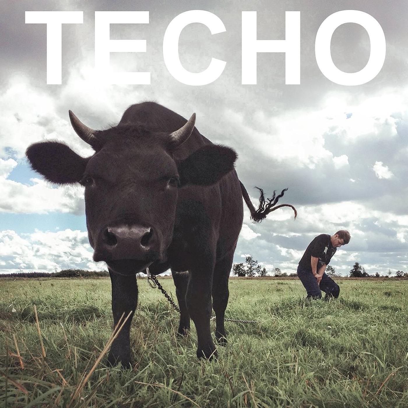 Постер альбома Techo