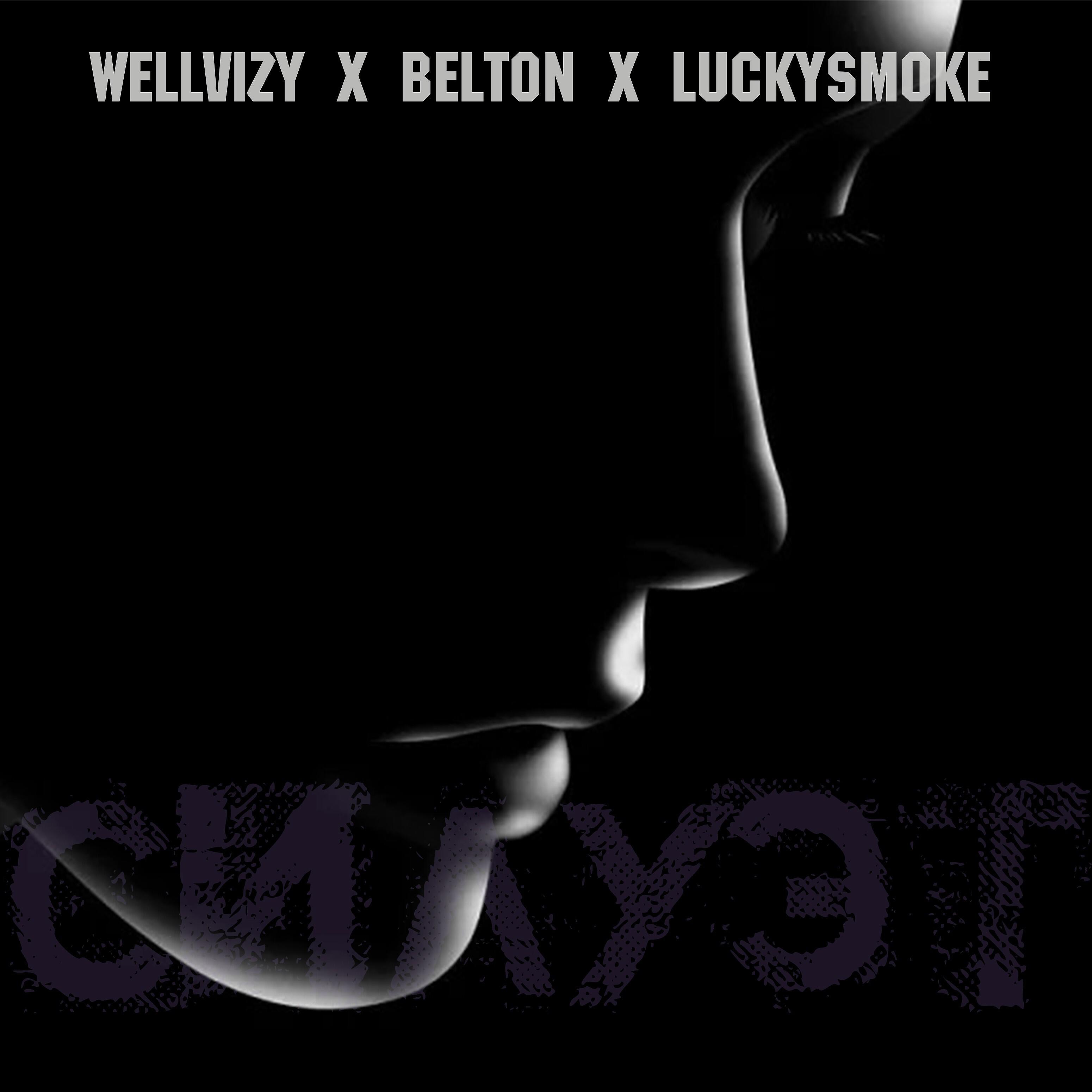 WELLVIZY - Силуэт