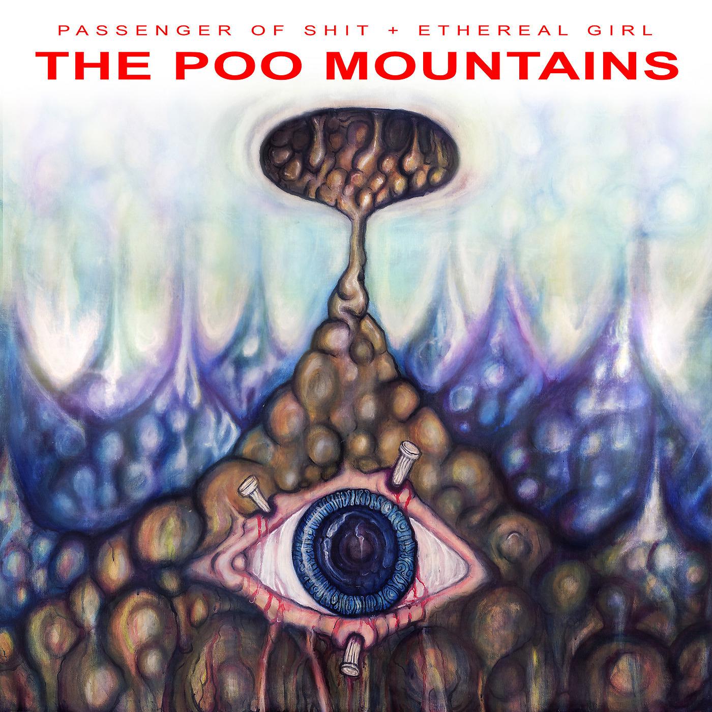 Постер альбома The Poo Mountains