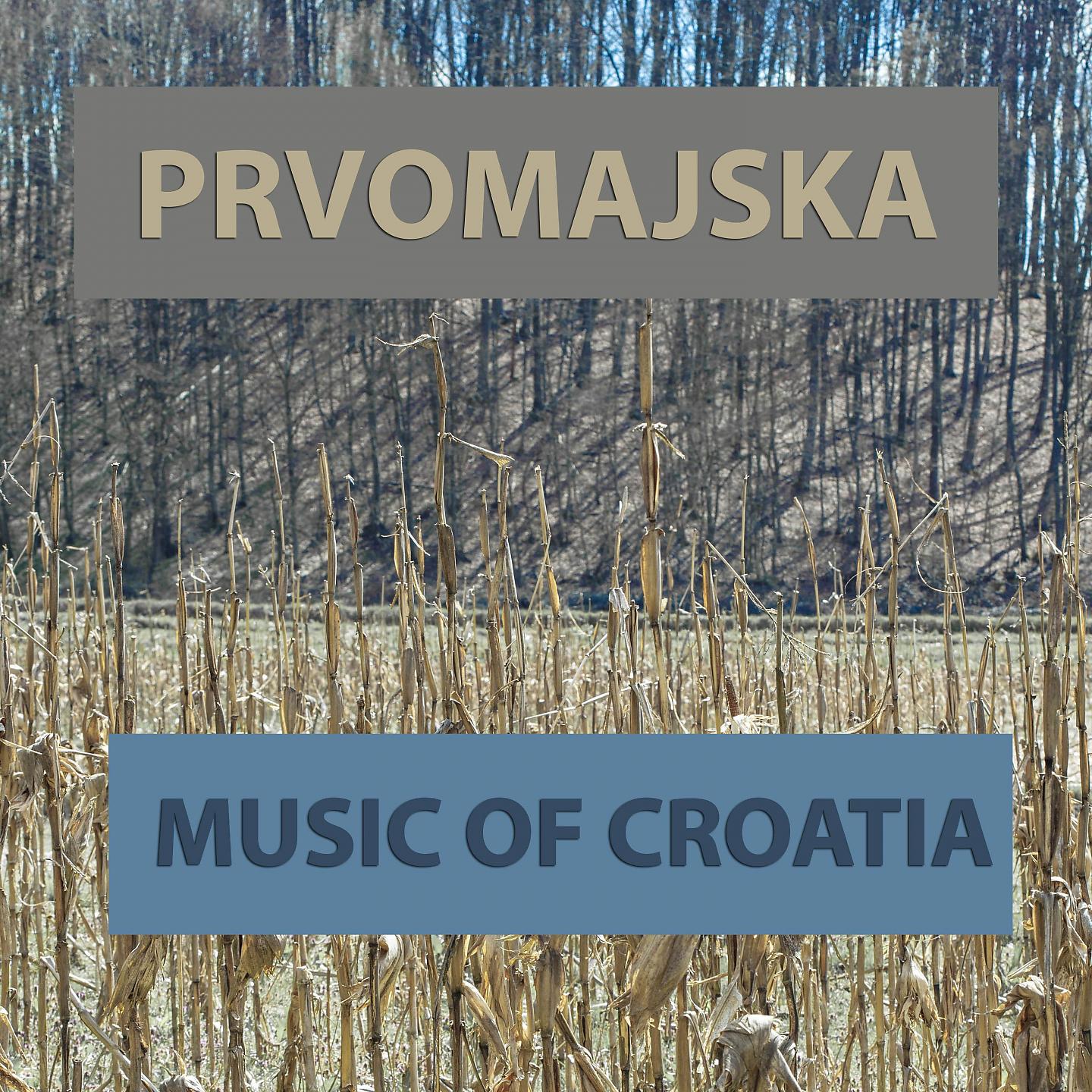 Постер альбома Prvomajska
