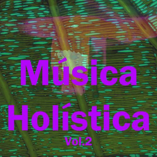 Постер альбома Música Holística, Vol. 2