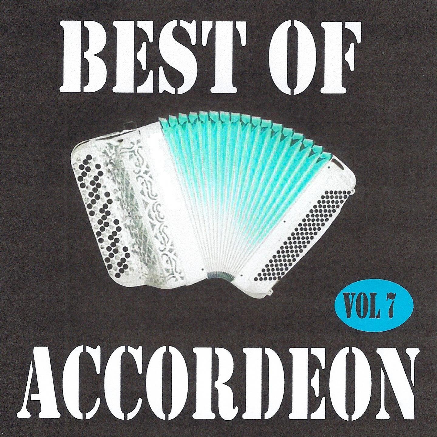 Постер альбома Best of accordéon, Vol. 7
