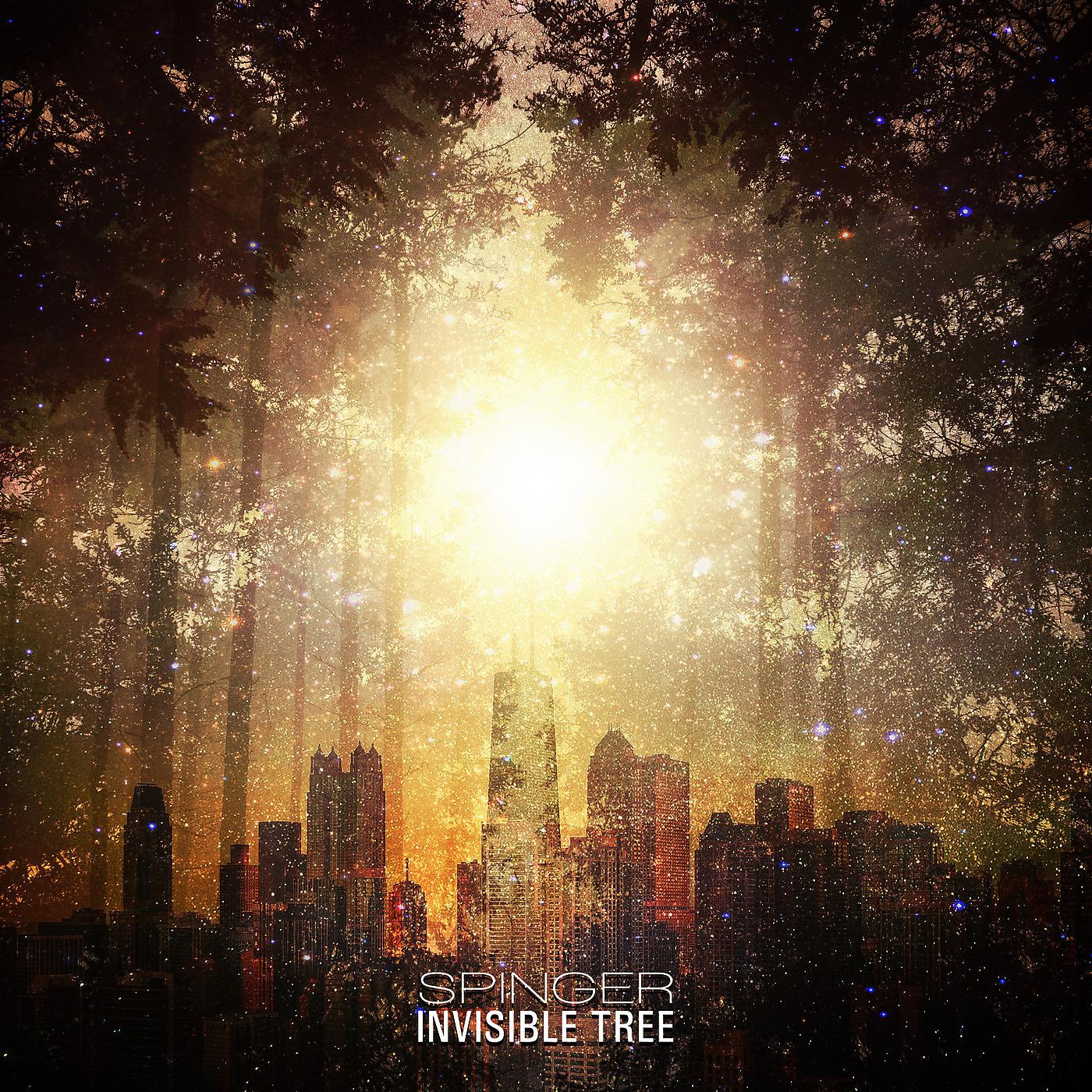 Постер альбома Invisible Tree
