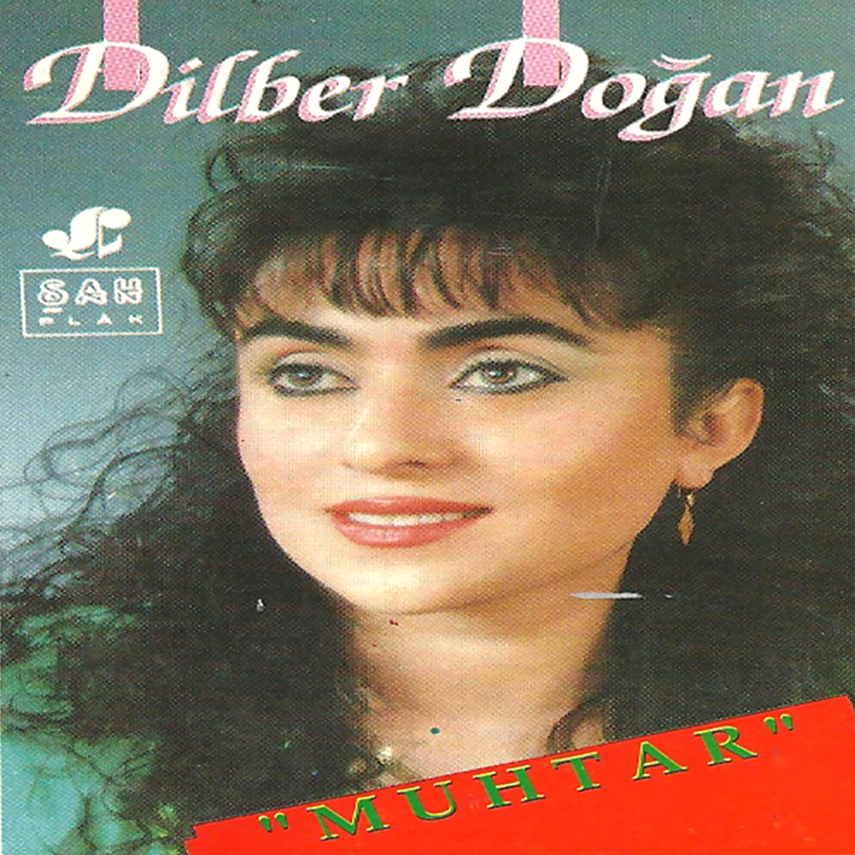 Dilber Doğan - Vur Vur Dünyası
