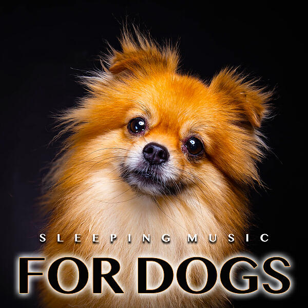 Dog Music - Relaxing Puppy Music