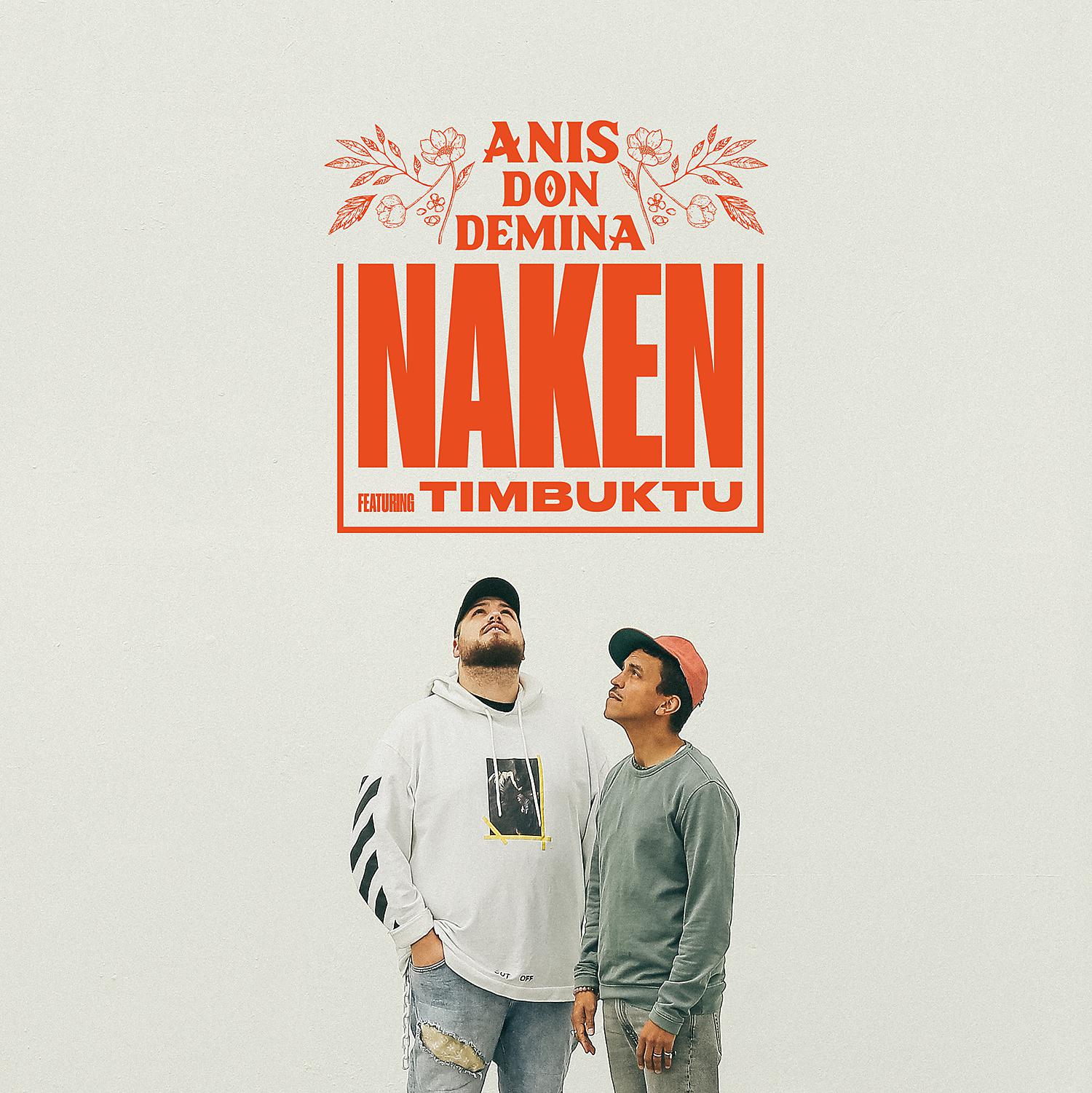 Постер альбома Naken