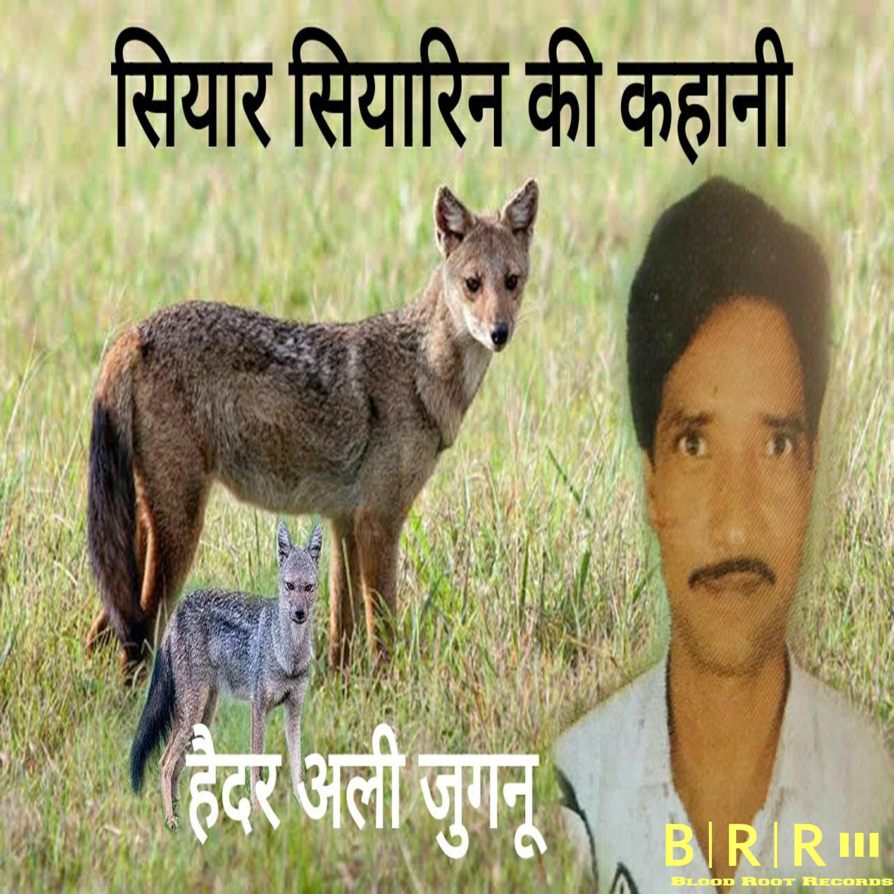 Haidar Ali Jugnu - Siyar Siyarin Ki Kahani
