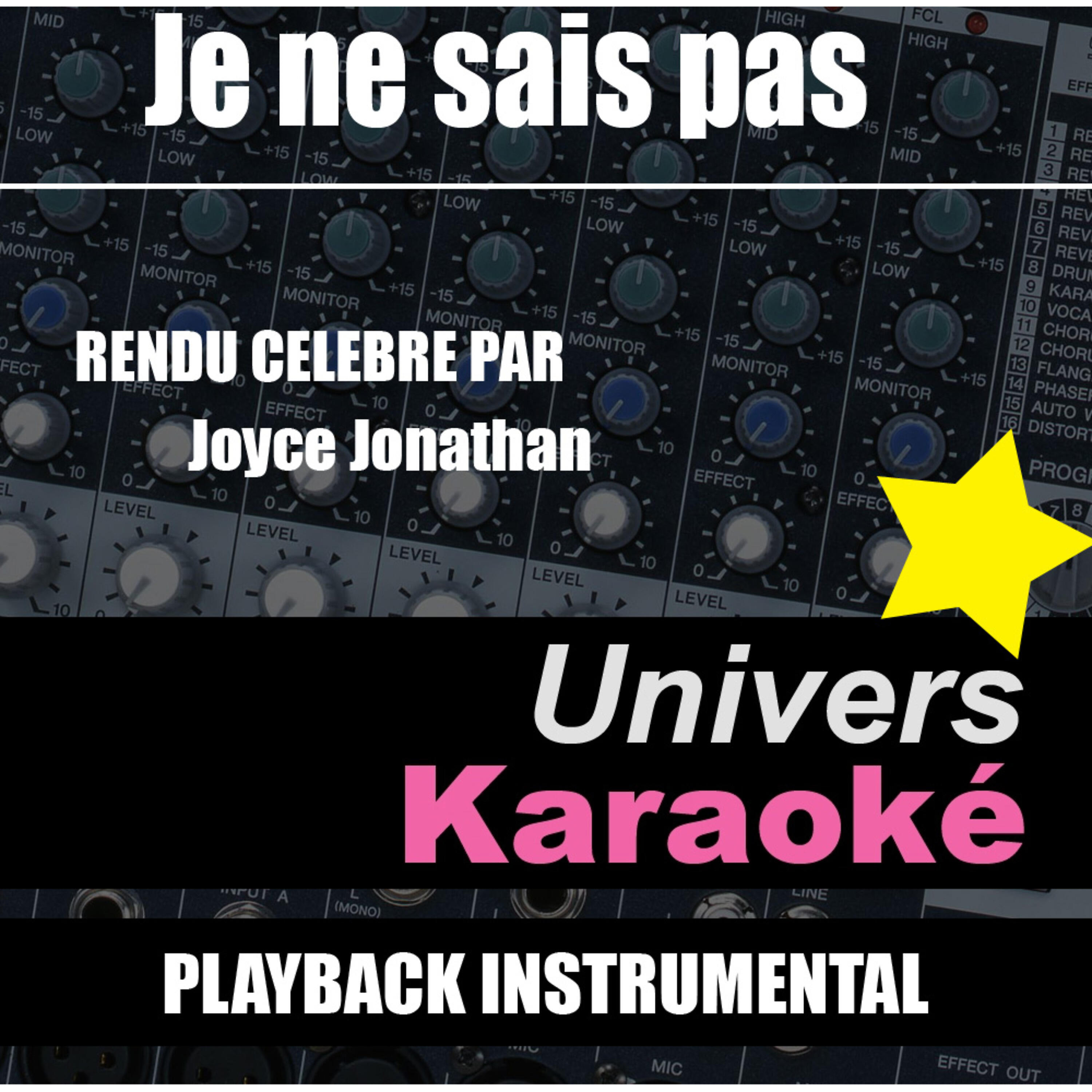 Univers Karaoké - Je ne sais pas (Rendu célèbre par Joyce Jonathan) [Version karaoké]