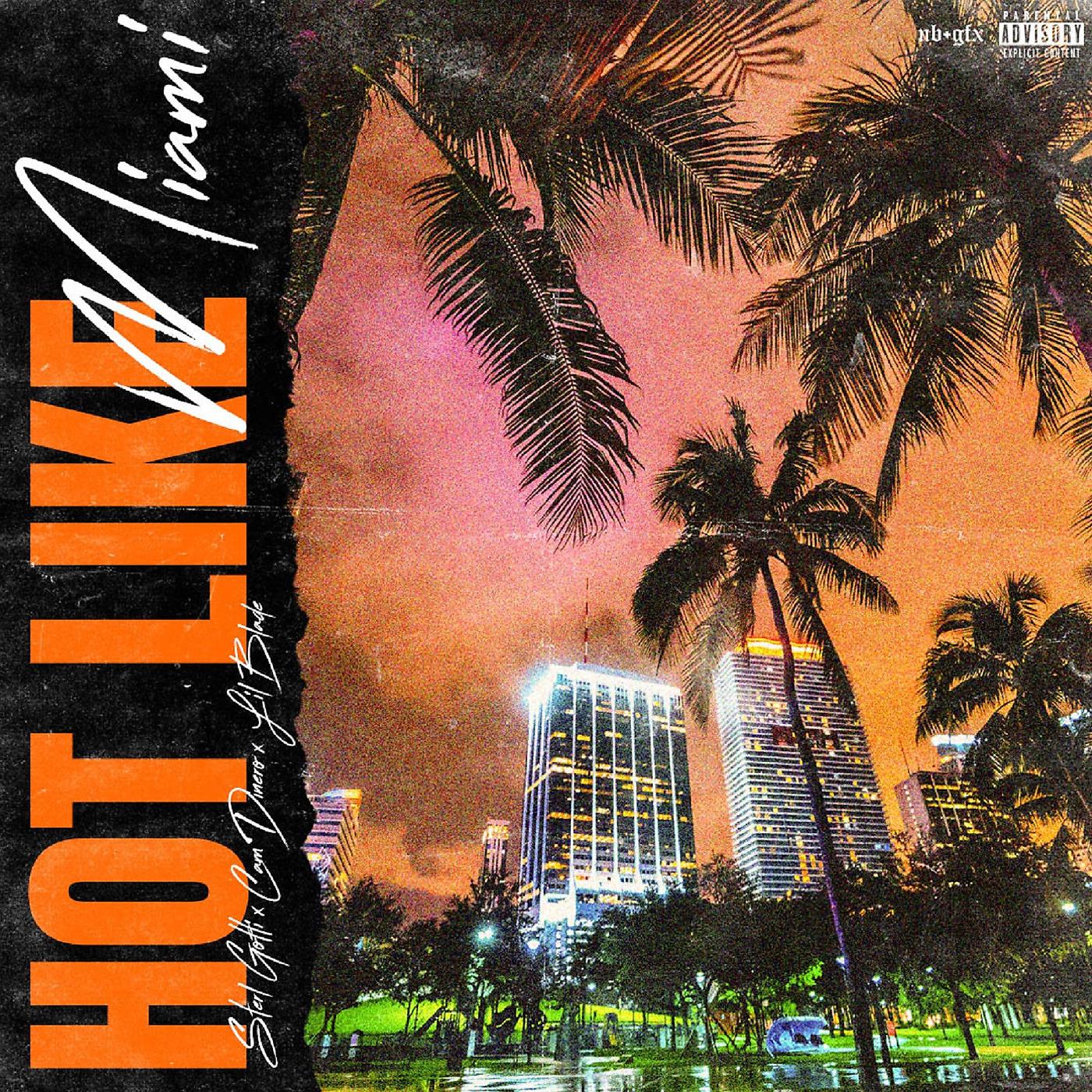Постер альбома Hot Like Miami