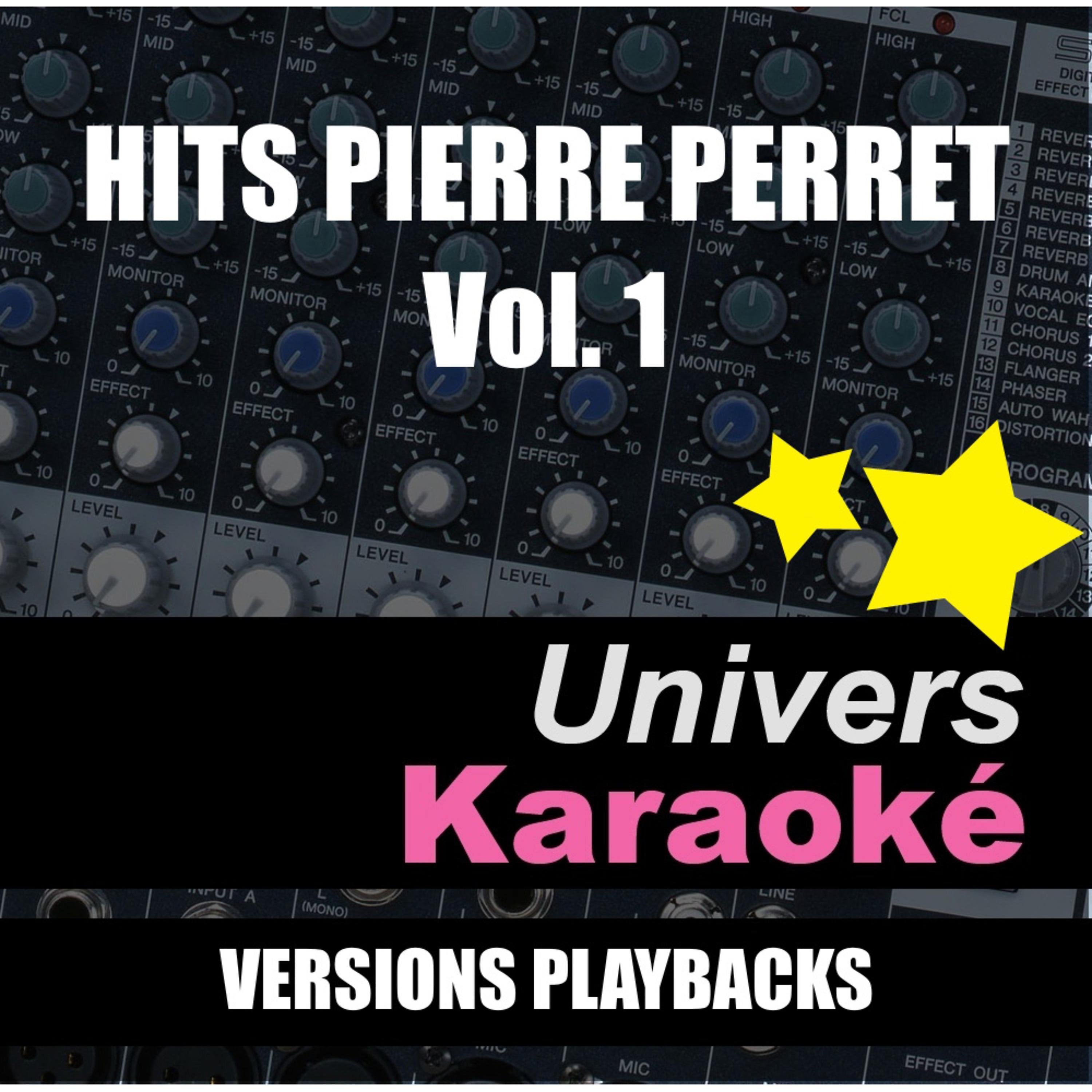 Постер альбома Hits Pierre Perret, Vol. 1