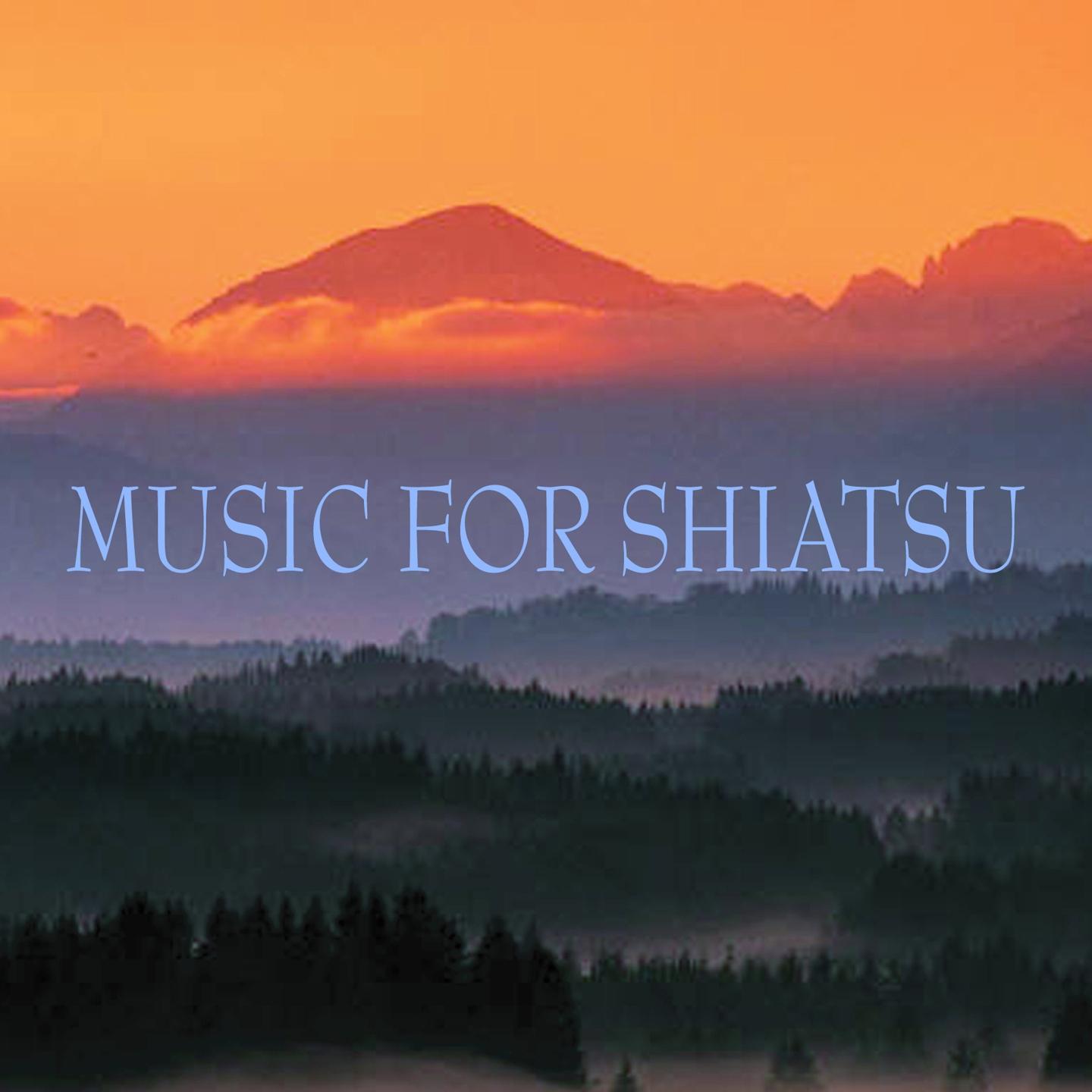 Постер альбома Music for shiatsu