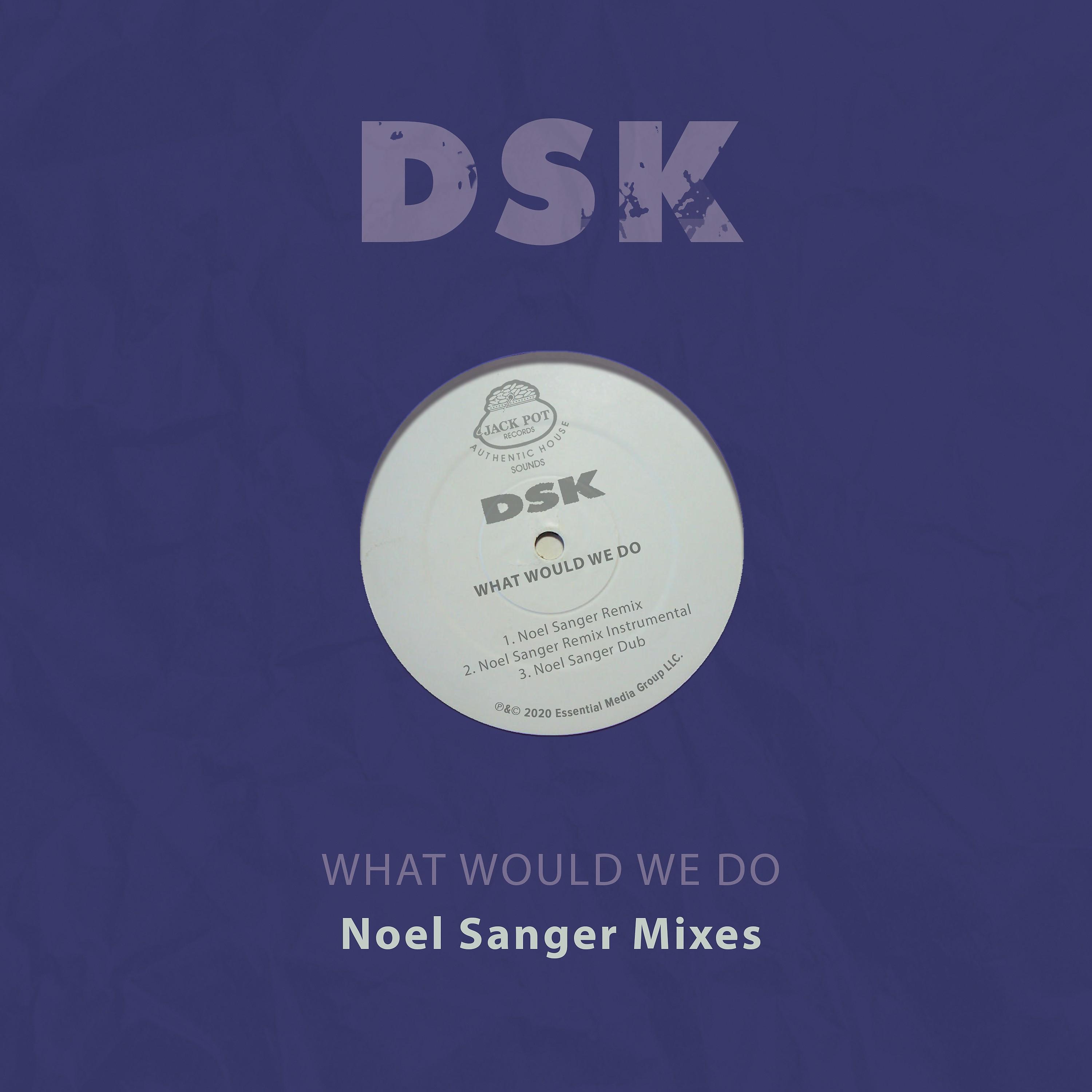 Постер альбома What Would We Do - Noel Sanger Mixes