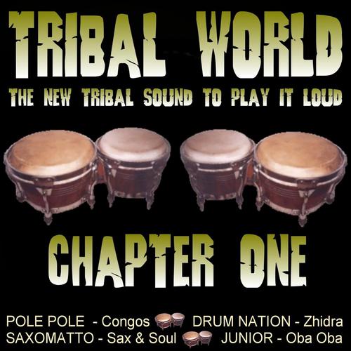 Постер альбома Tribal World - Chapter One