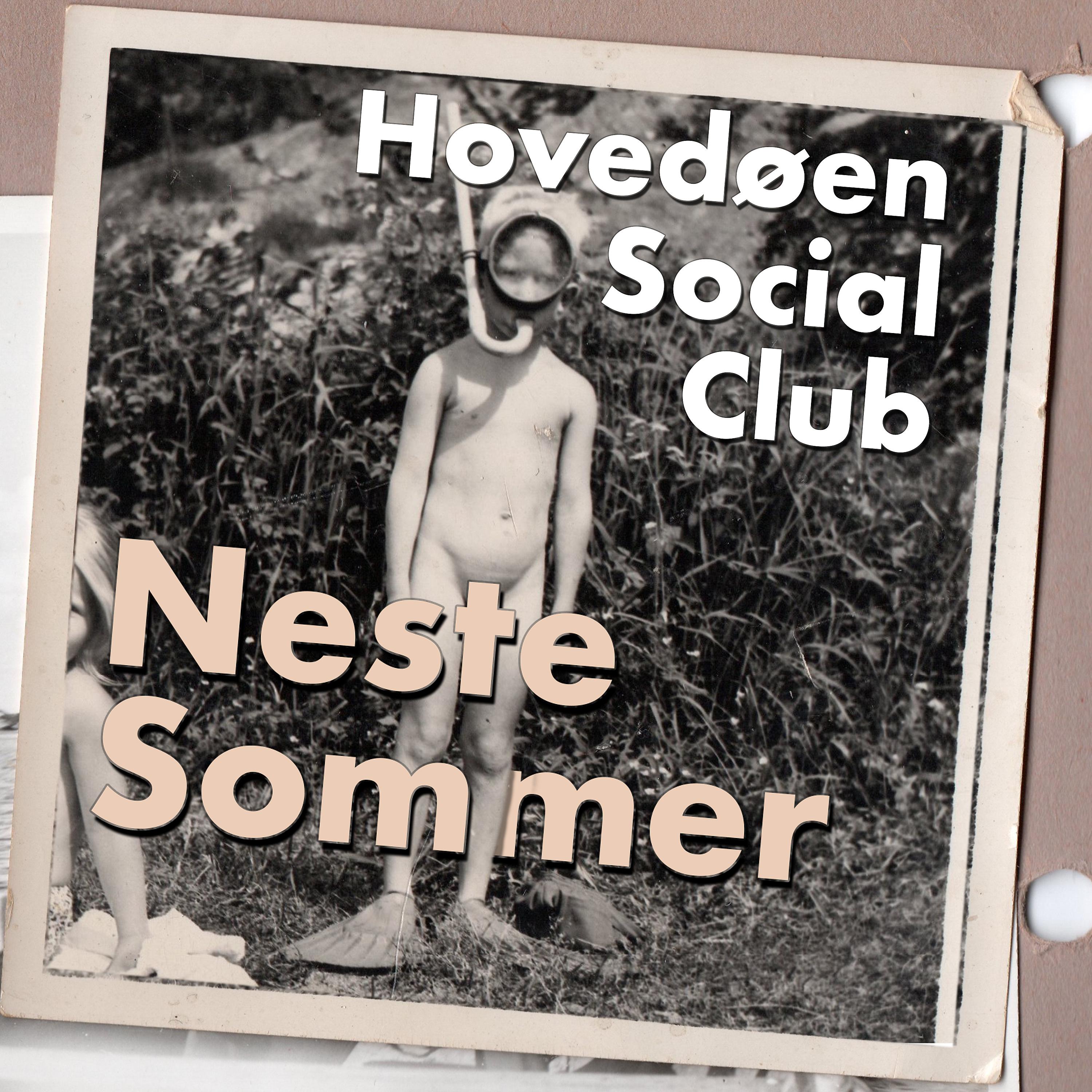 Постер альбома Neste sommer