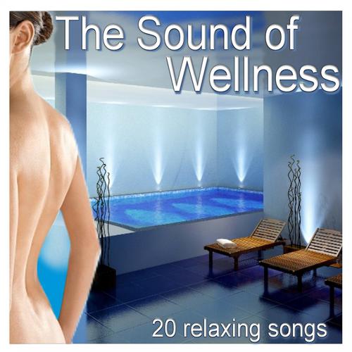 Постер альбома The Sound of Wellness