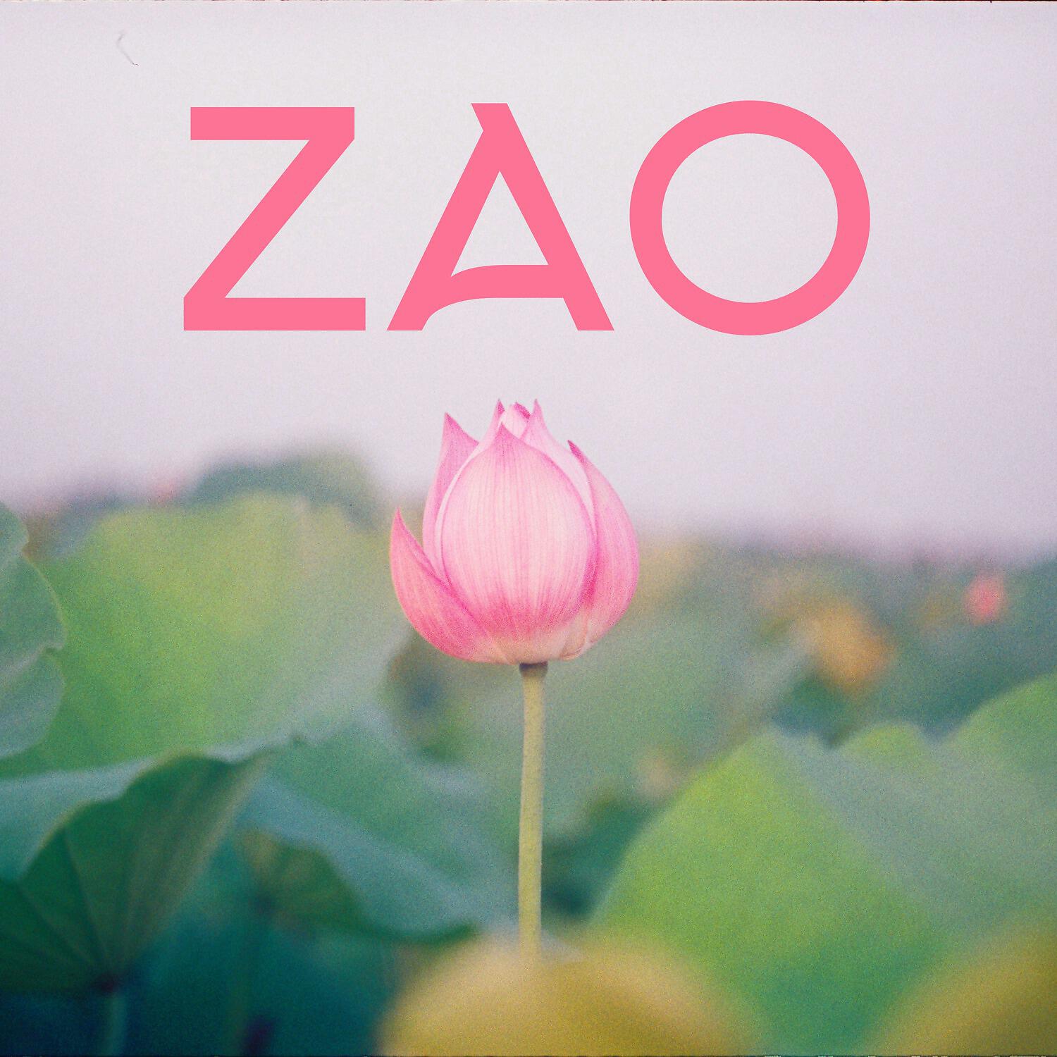 Reiki Healing Zone - Buddha Zen
