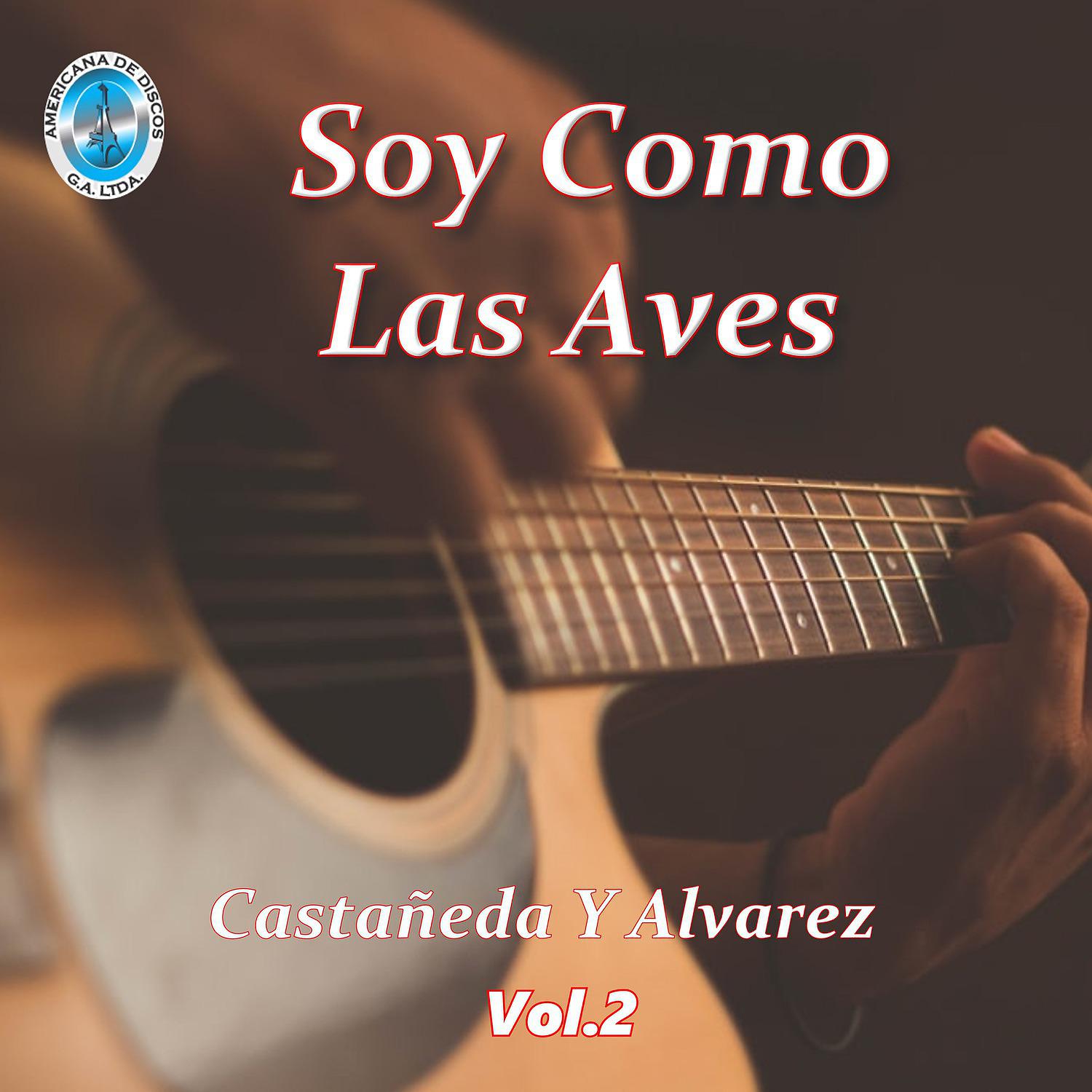 Постер альбома Soy Como las Aves, Vol. 2