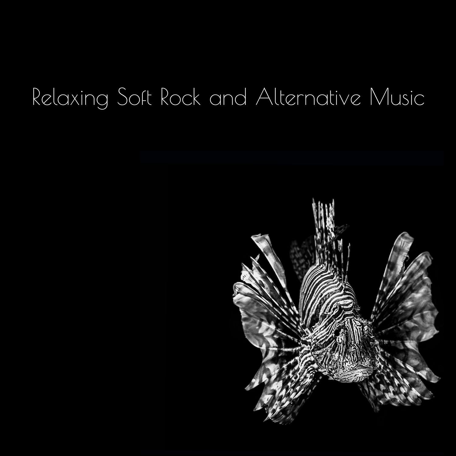 Постер альбома Relaxing Soft Rock and Alternative Music