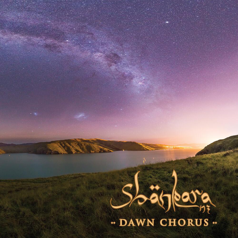 Постер альбома Dawn Chorus