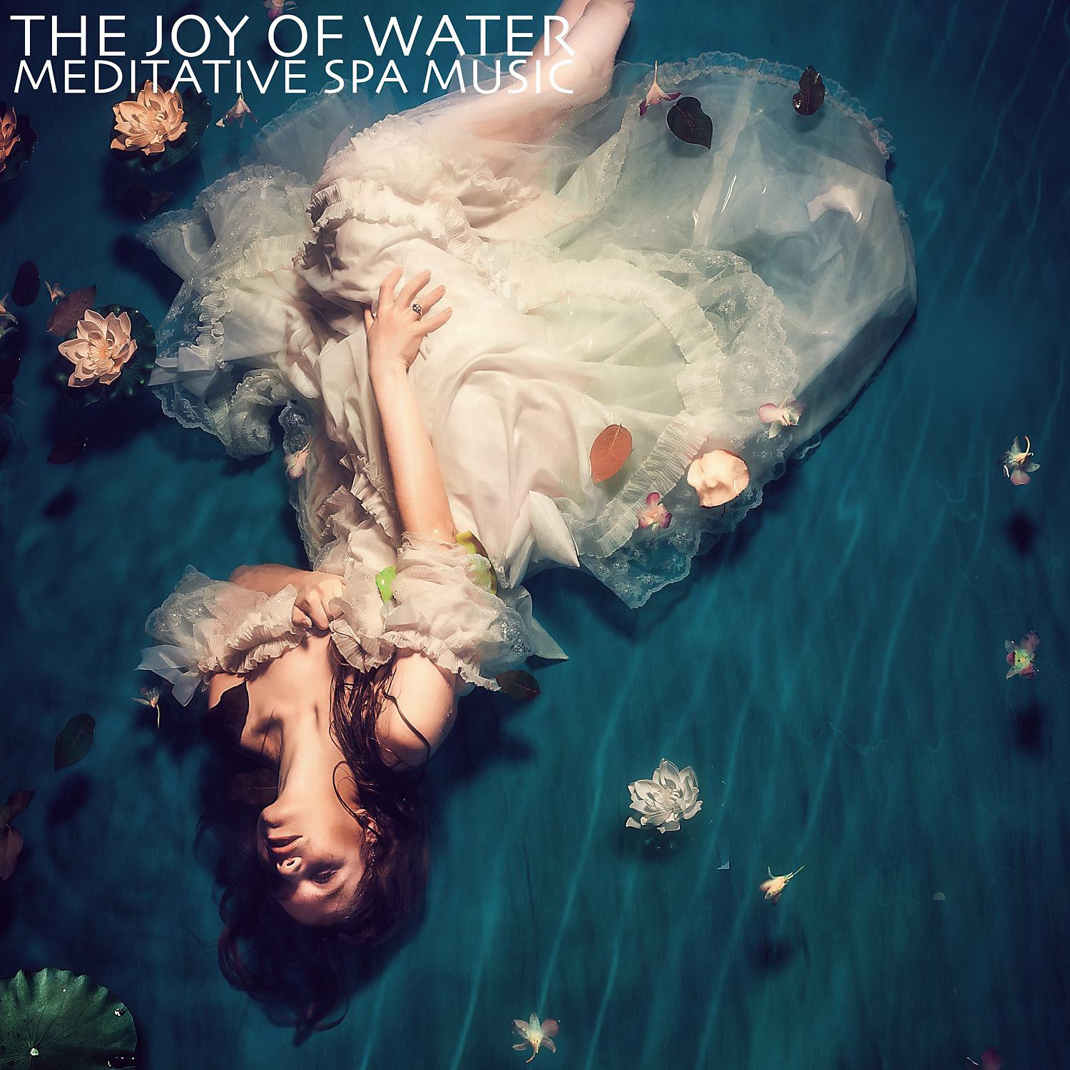 Постер альбома The Joy of Water (Meditative Spa Music)