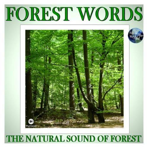 Постер альбома The Natural Sound Of Forest