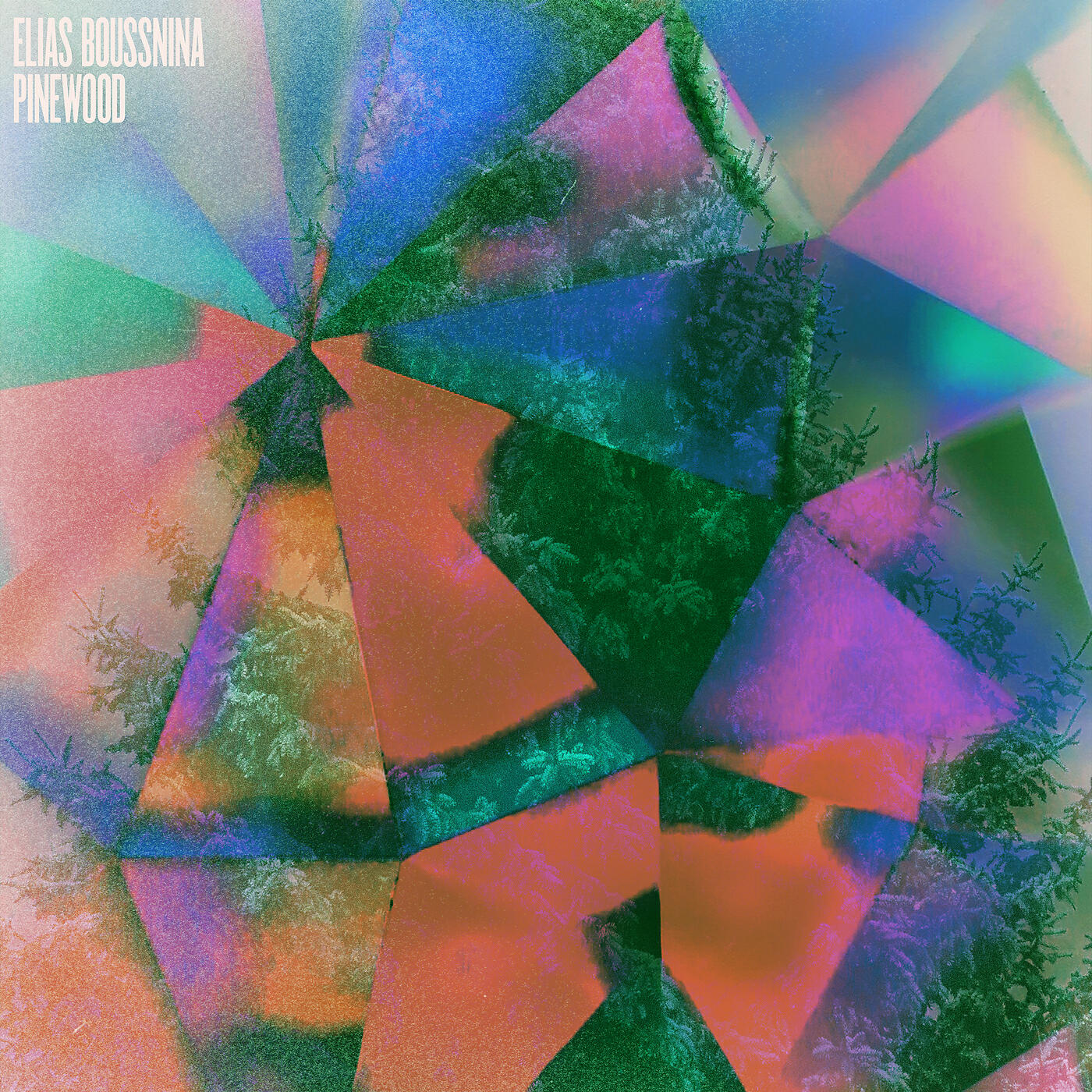 Elias Boussnina - Pinewood
