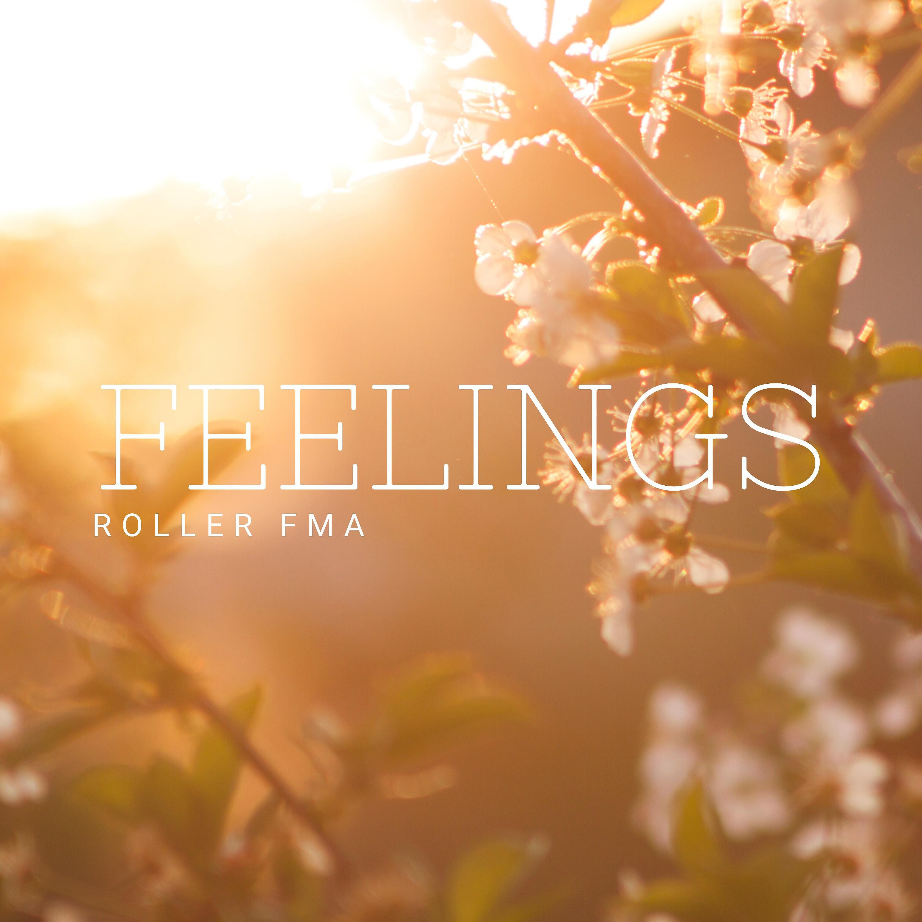 Roller FMA - Feelings