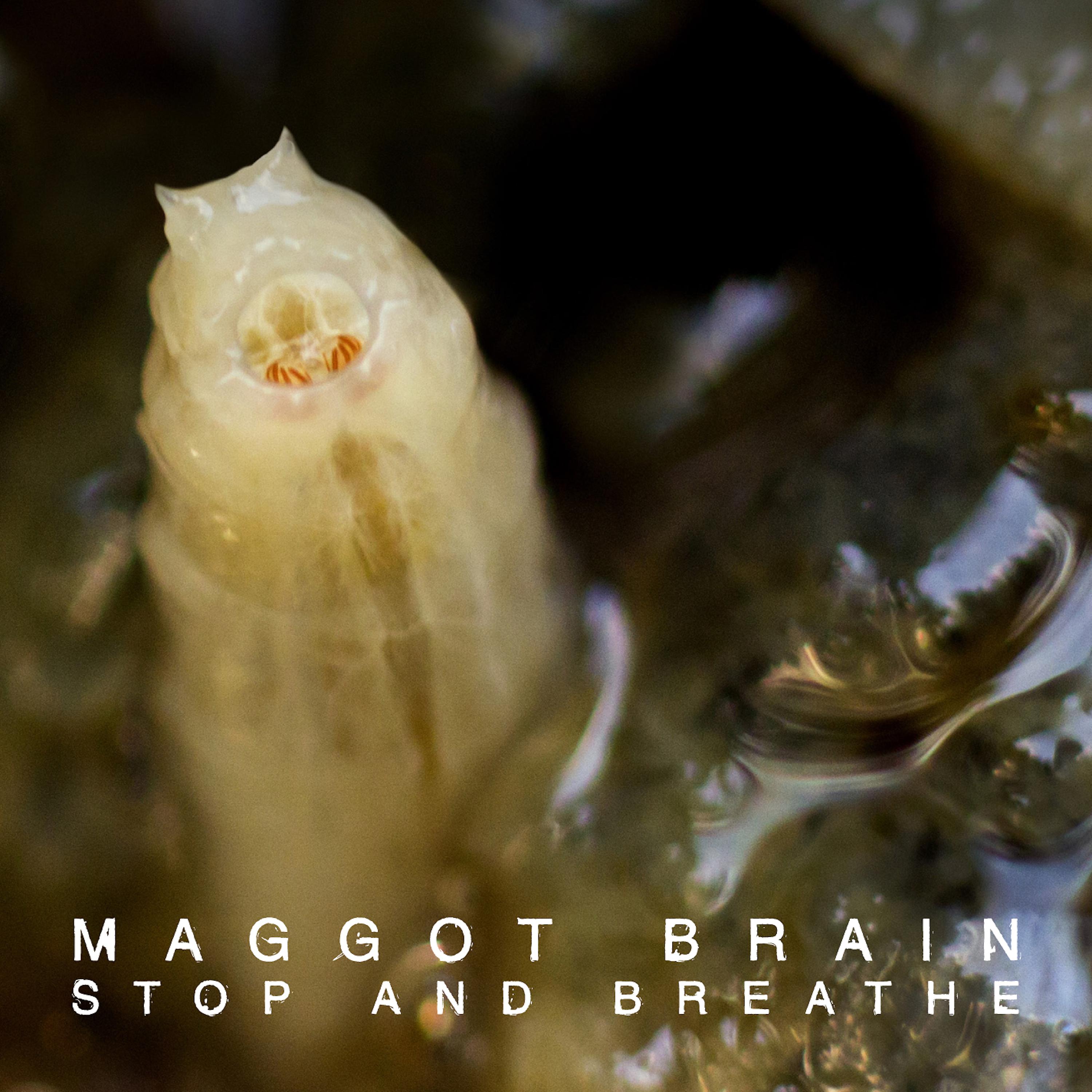 Постер альбома Stop & Breathe