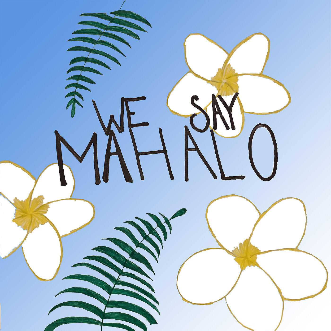 Matt Glickstein - We Say Mahalo