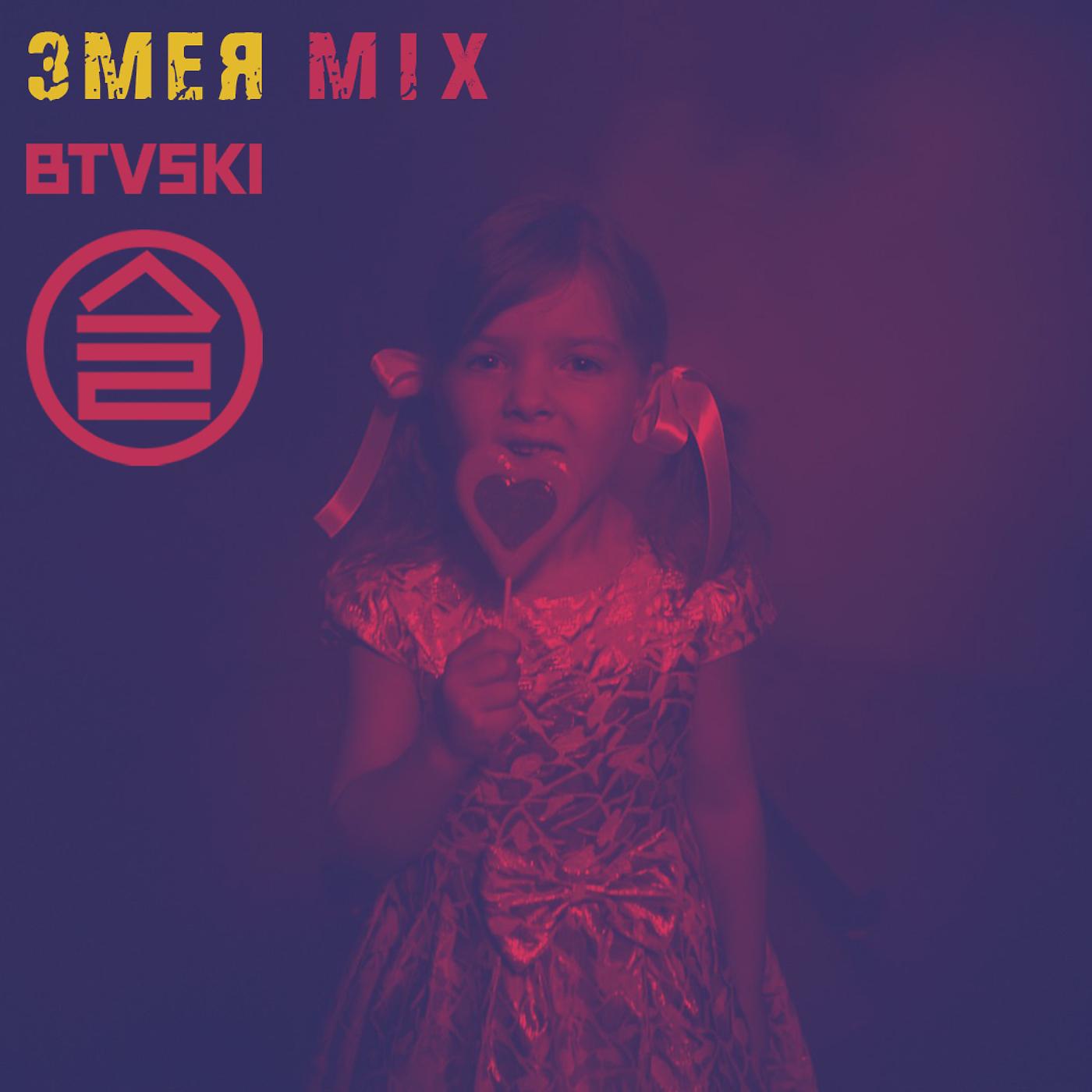 Постер альбома Змея (BTVSKI Mix)