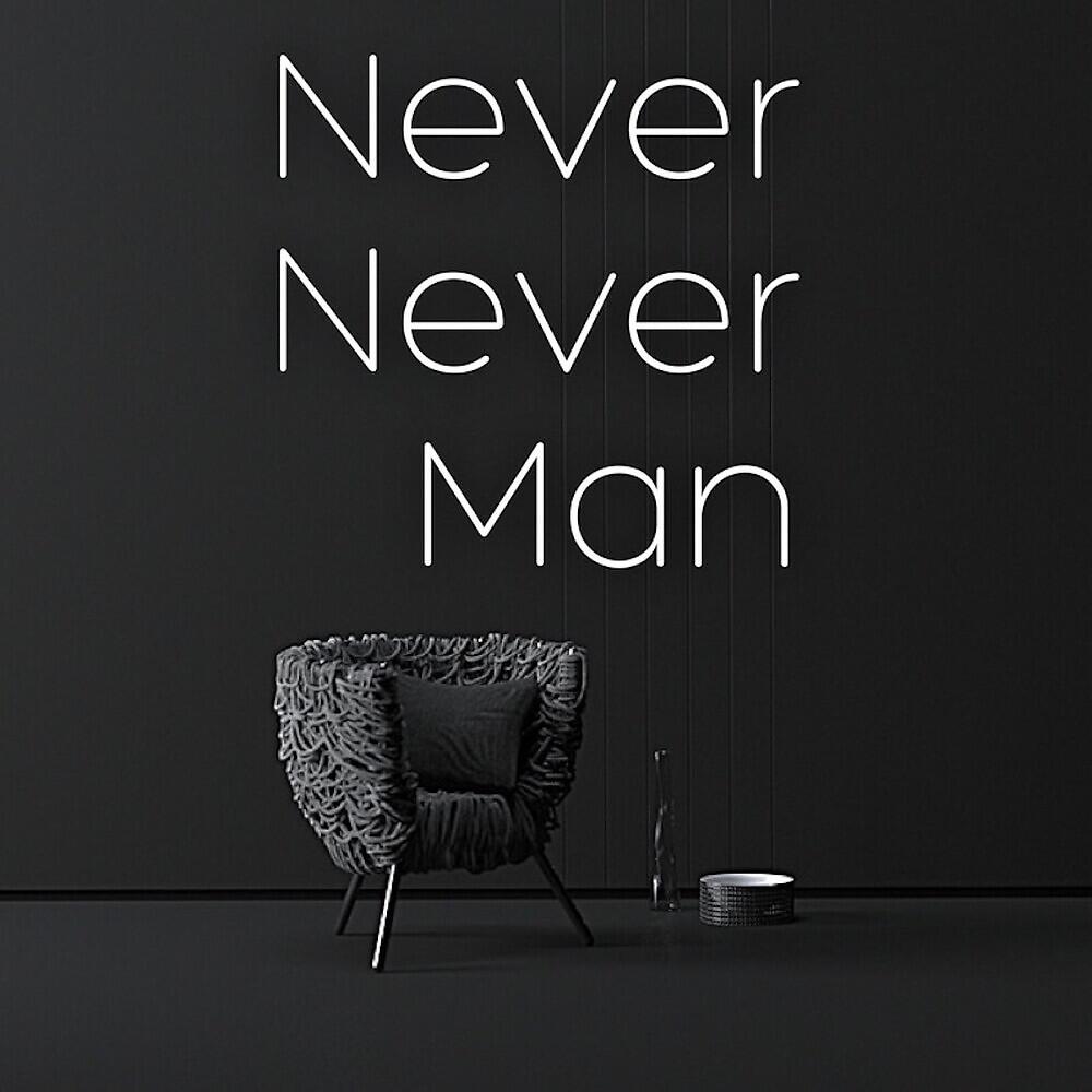 Never Never Man - The Way You Are