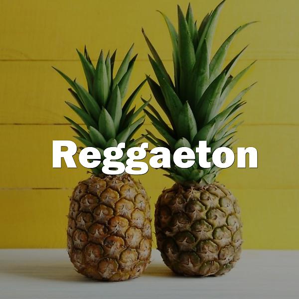Постер альбома Reggeton 247