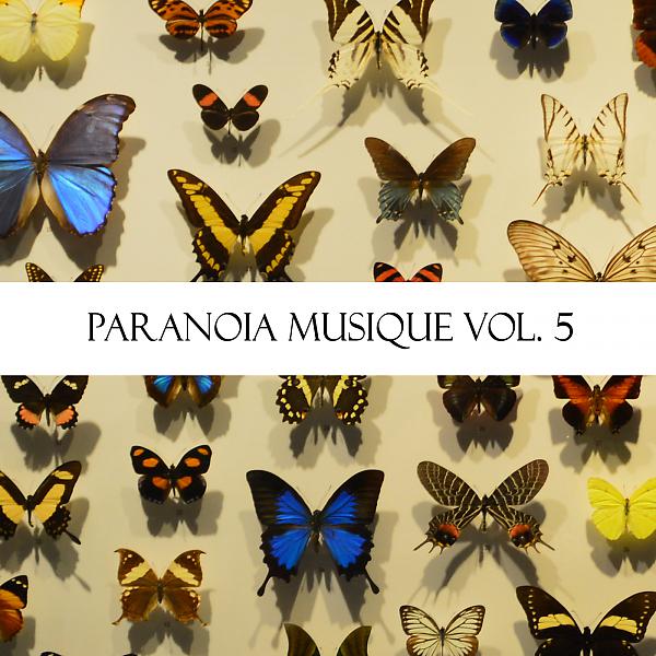 Постер альбома Paranoia Musique, Vol. 5