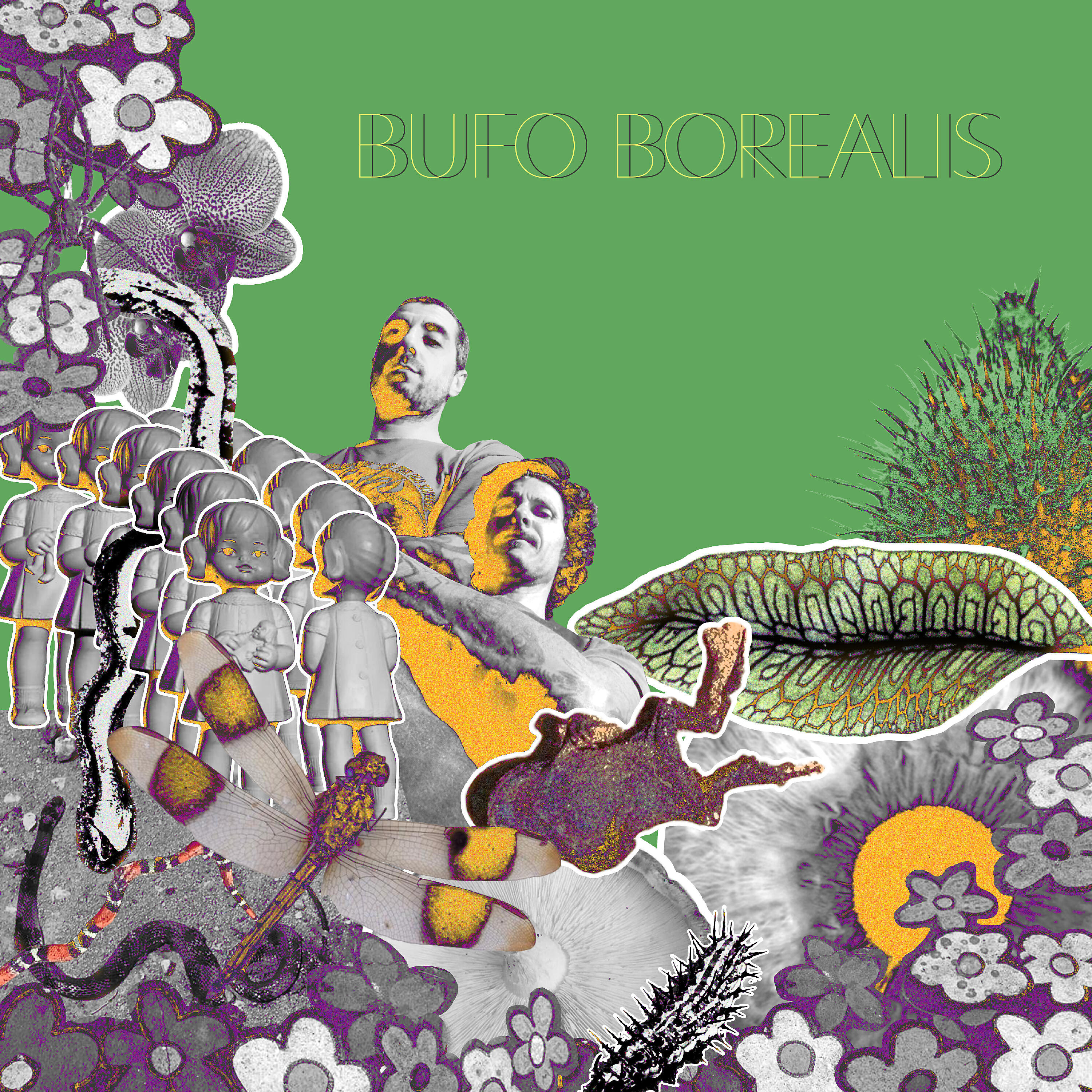 Bufo Borealis - Guerra