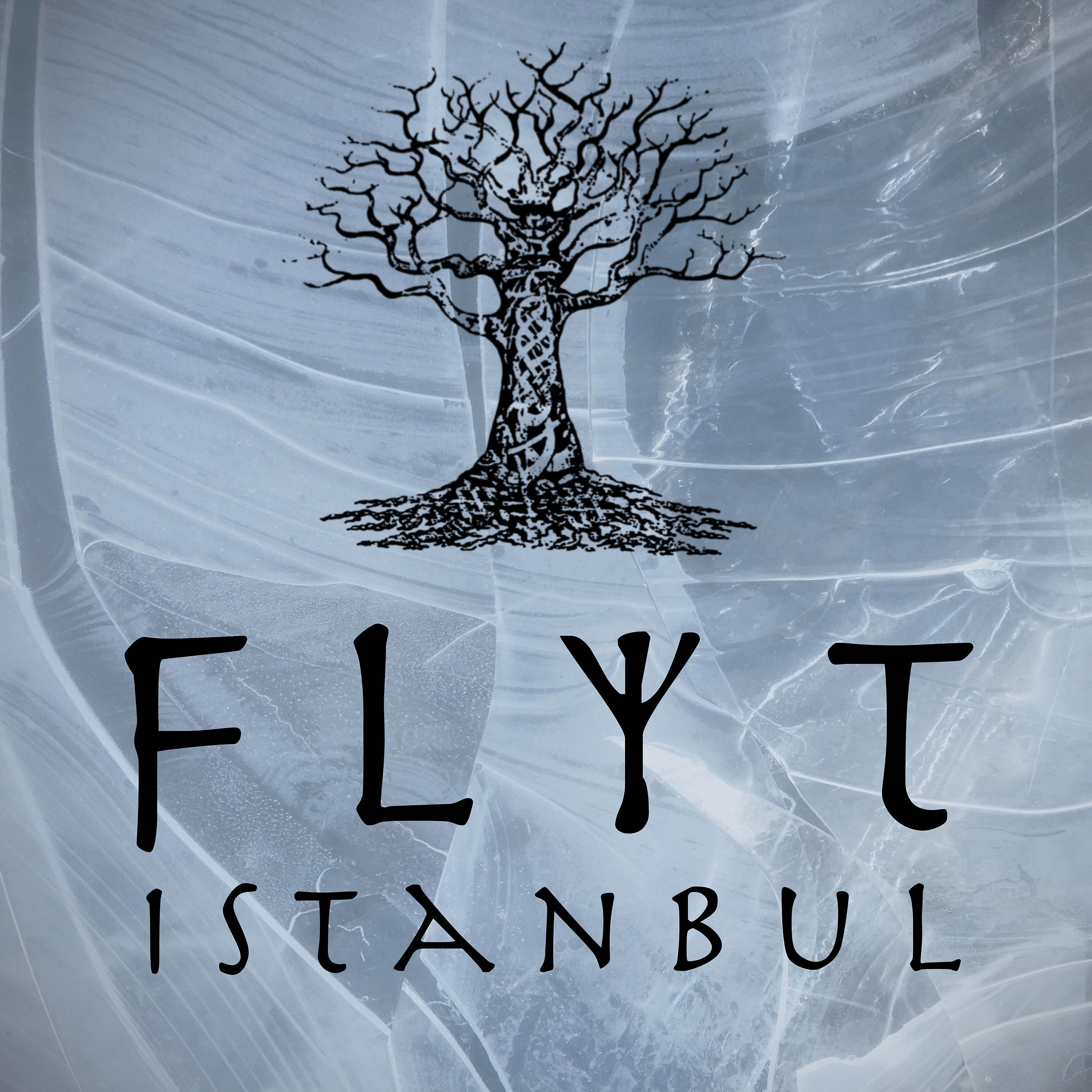 Постер альбома Flyt (Istanbul)