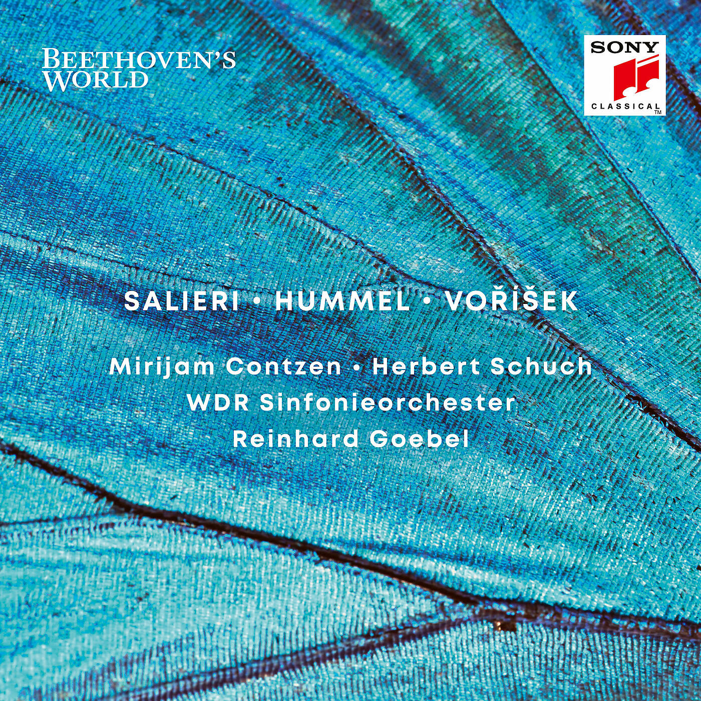 Reinhard Goebel - Symphony in D Major, Op. 23: II. Andante