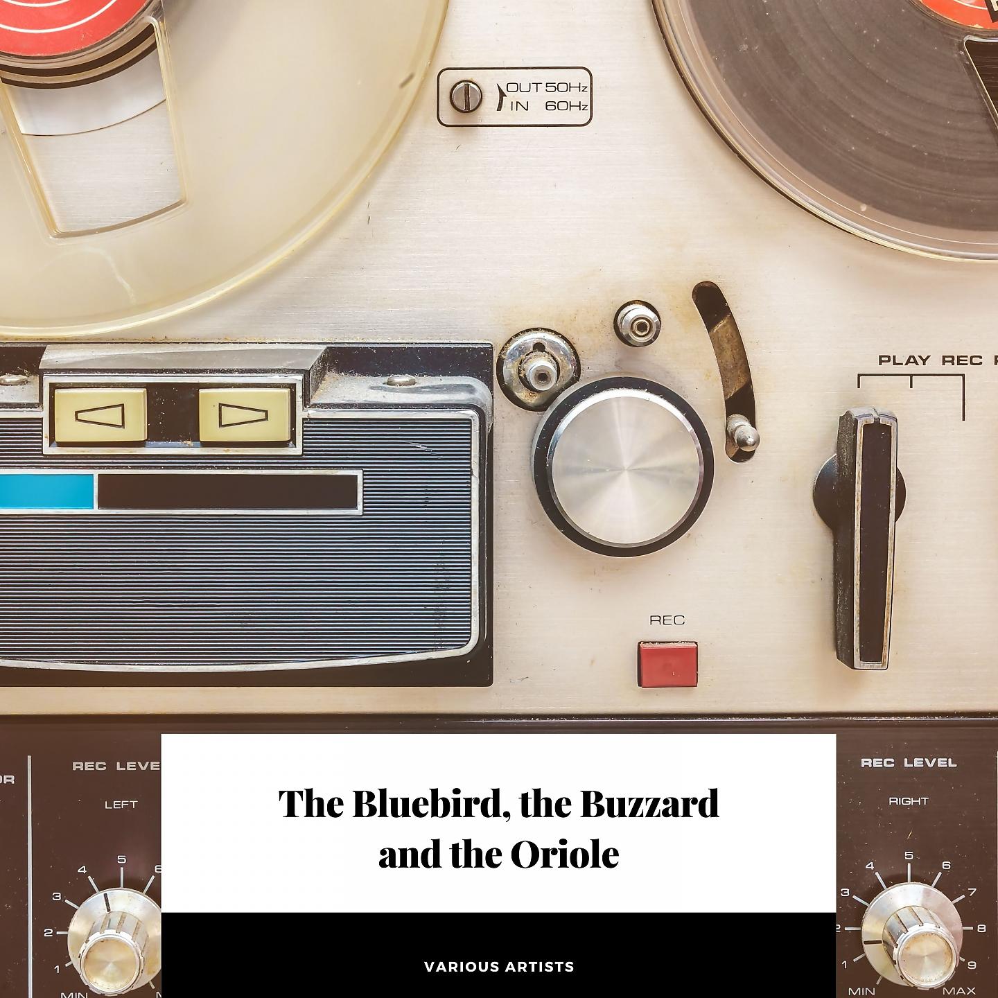 Постер альбома The Bluebird, the Buzzard and the Oriole