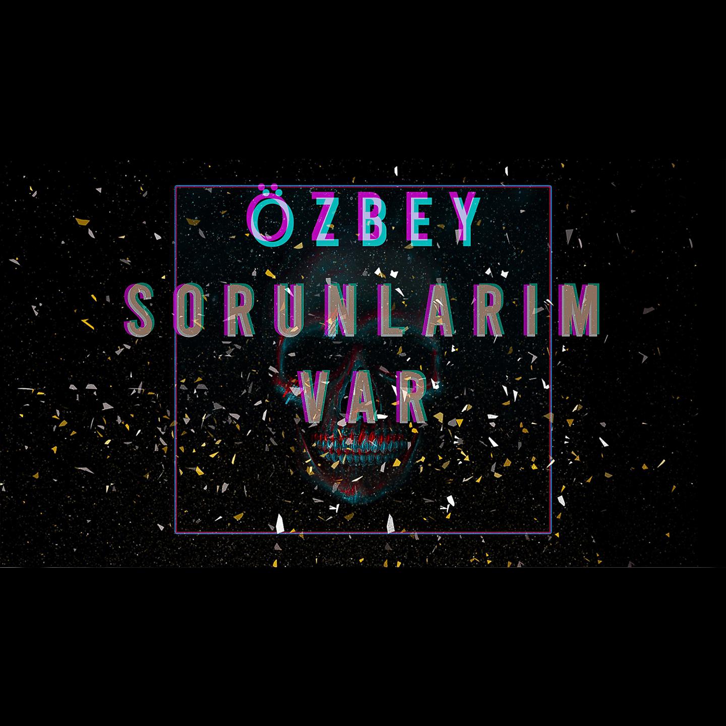 Постер альбома Sorunlarım Var
