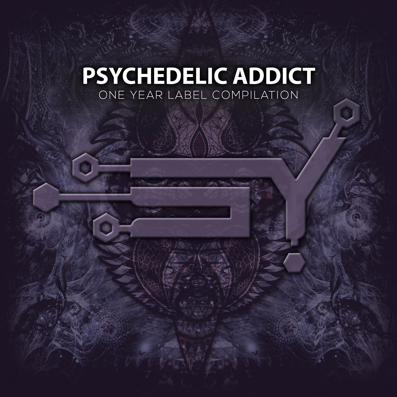 Постер альбома Psychedelic Addict
