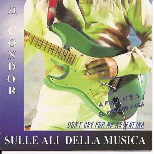 Cicci Guitar Condor - Foor Tapper