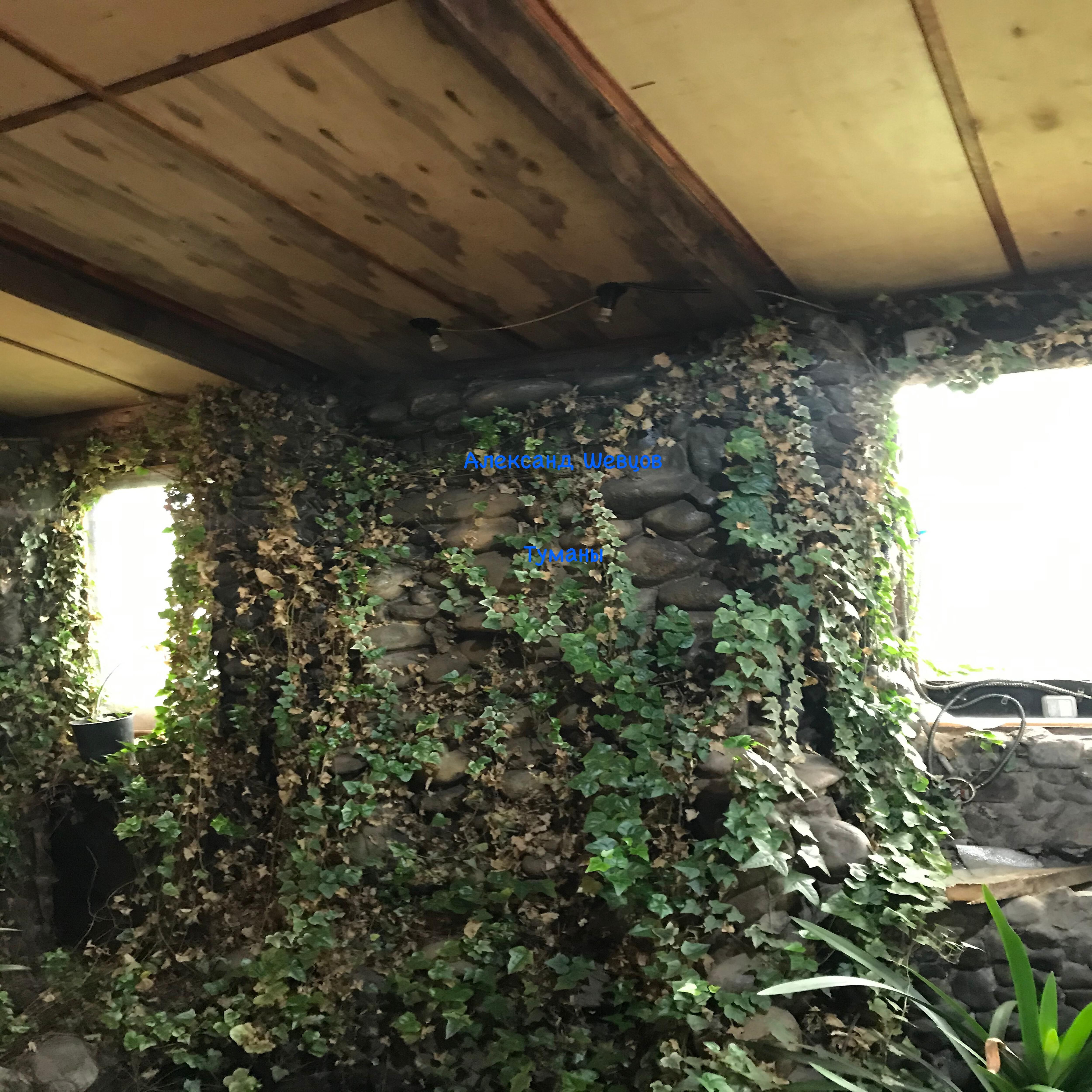 Александр Шевцов - Золотые купола